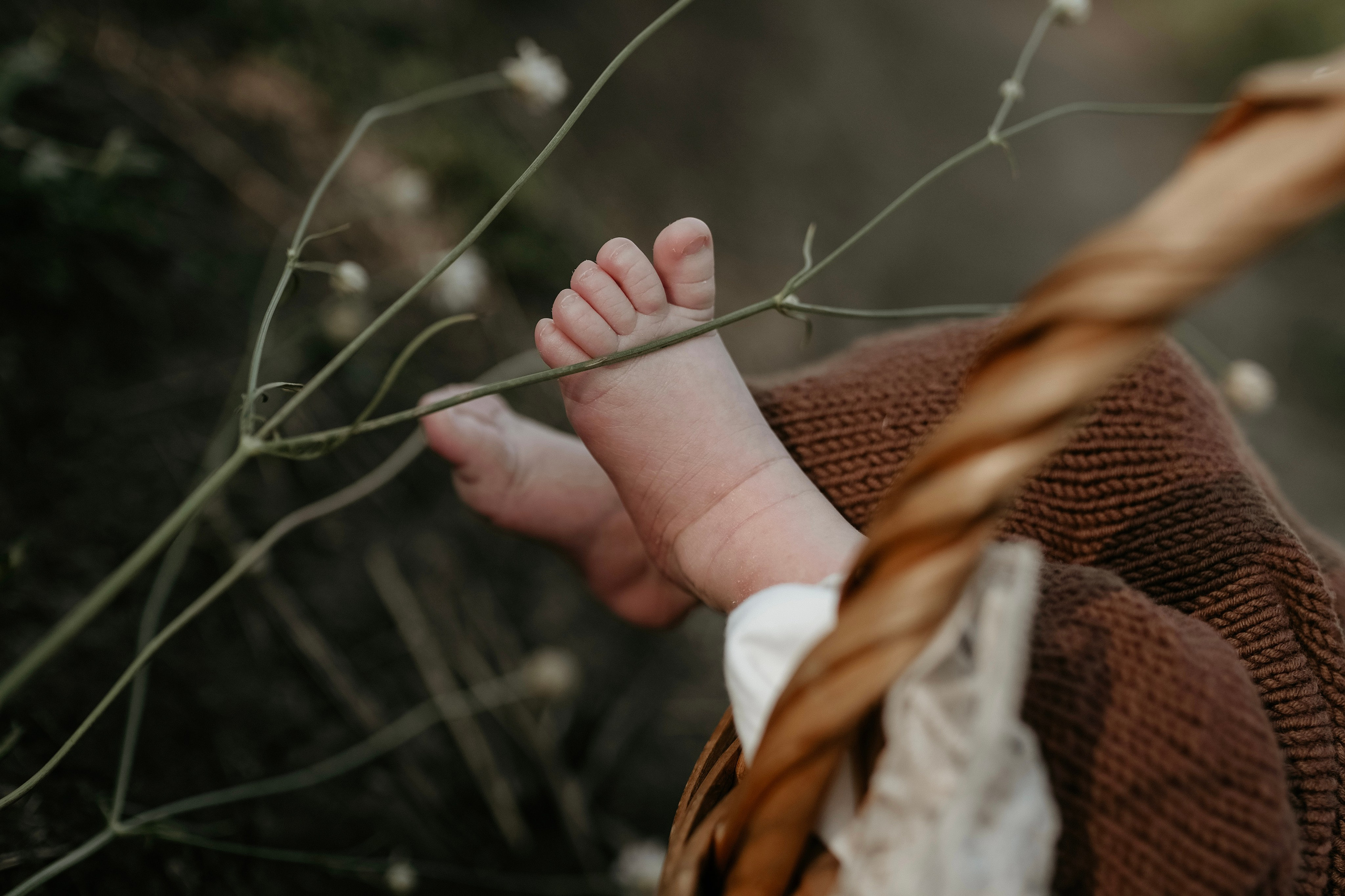 Семейный и детский фотограф в Ростове-на-Дону Ольга Есенина