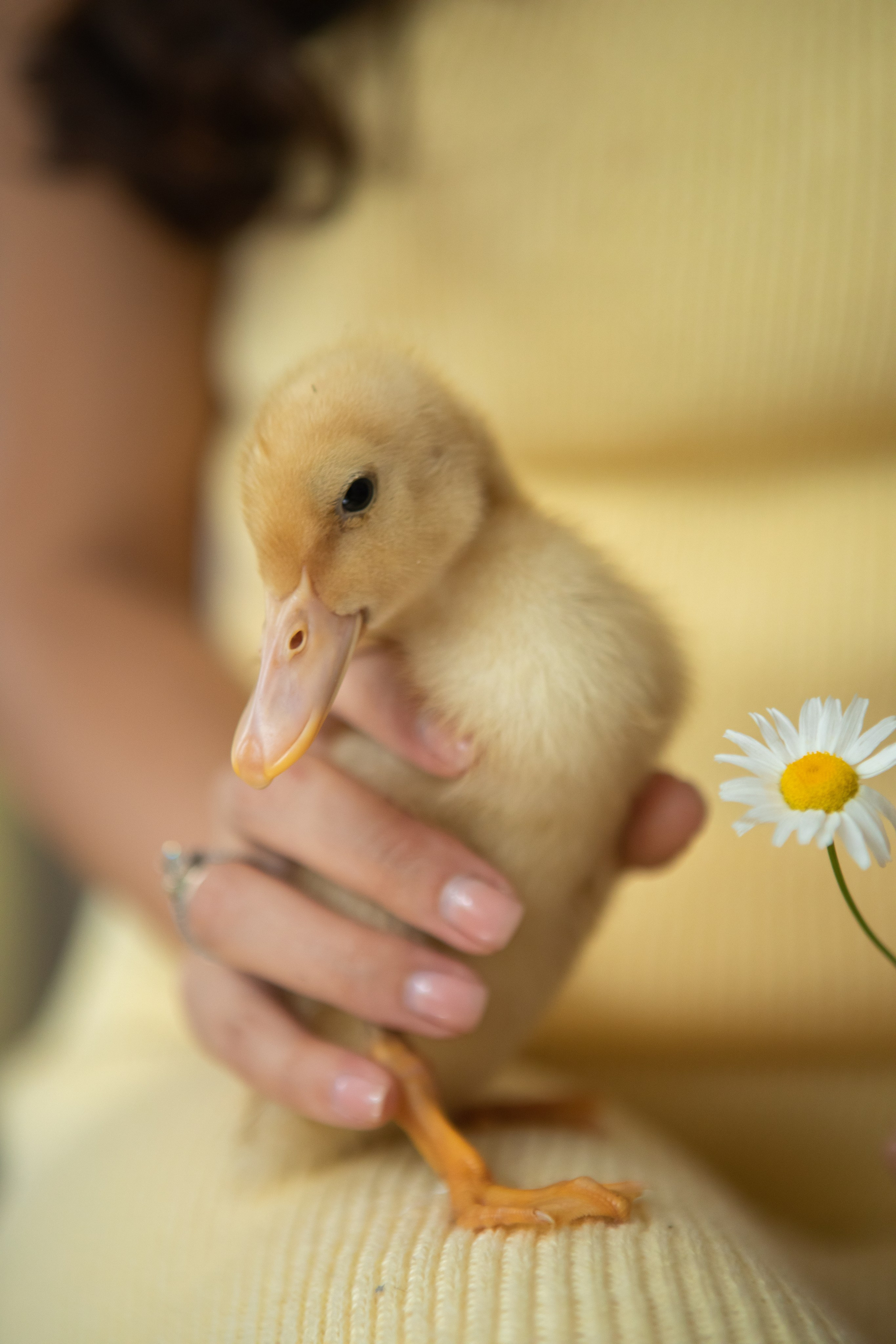 Тепло материнского сердца. Фотограф в Москве