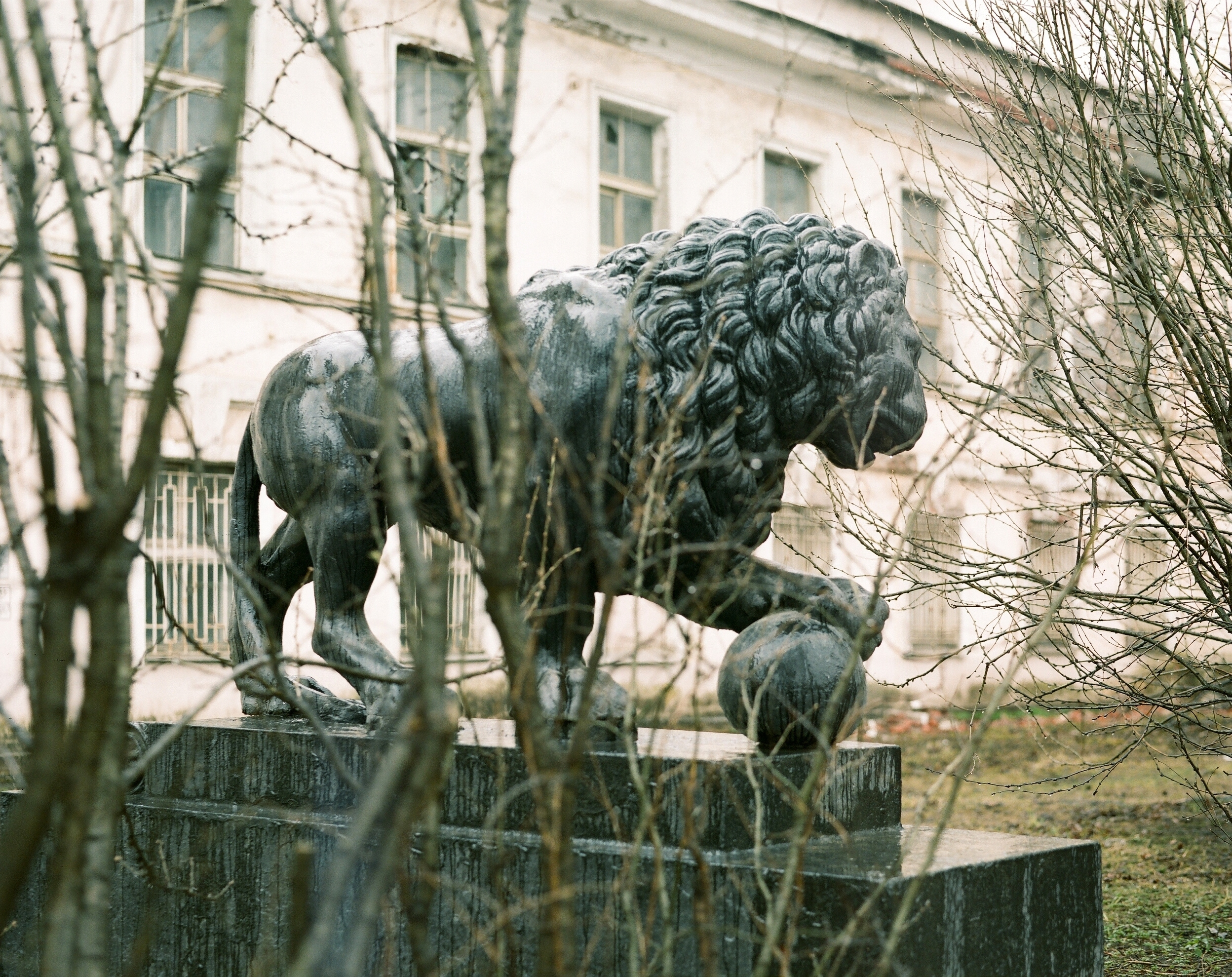 Bermuda triangle. Ekaterina Vasilyeva photographer