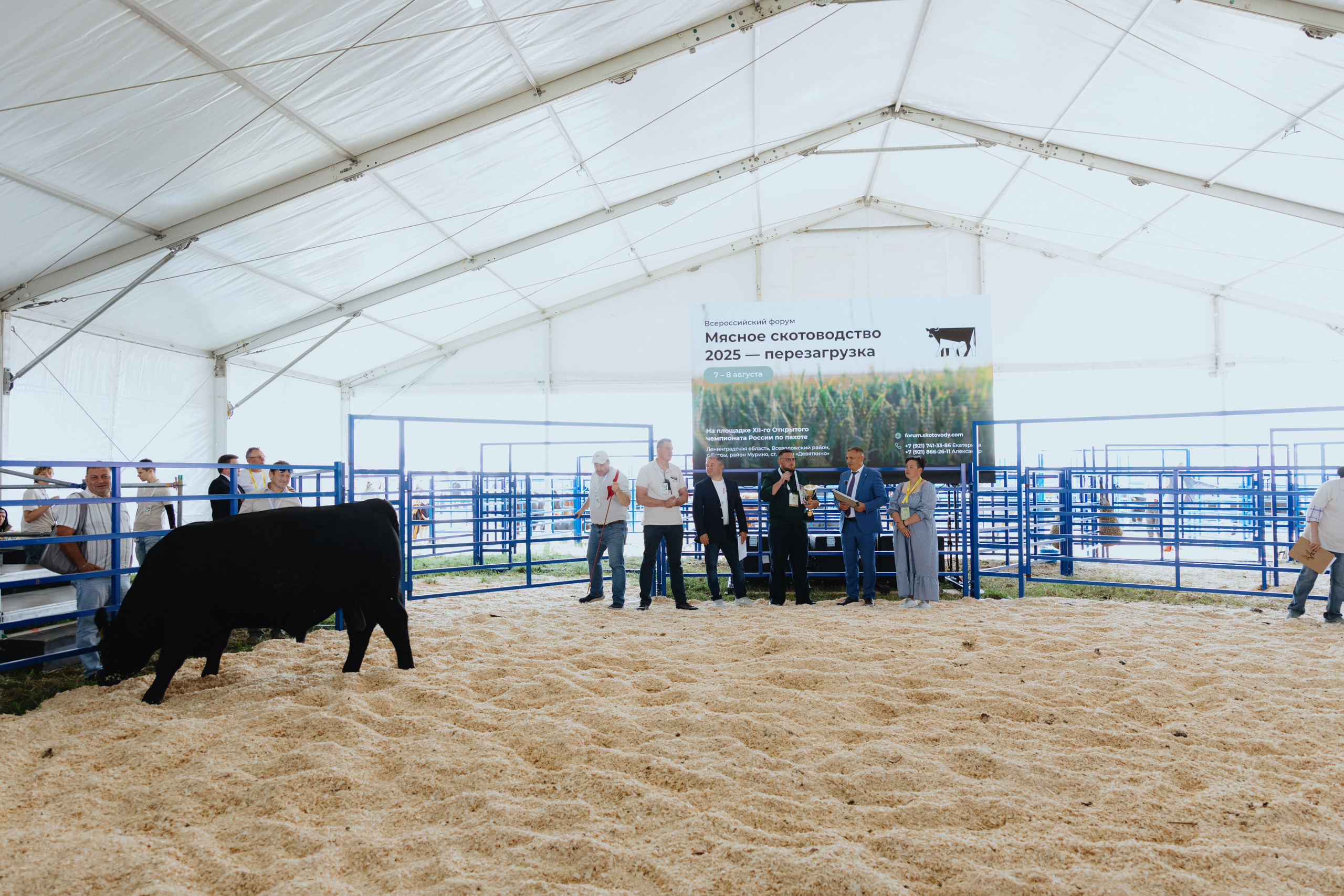 Россельхозбанк. Фотограф в Москве и Санкт-Петербурге Дарина