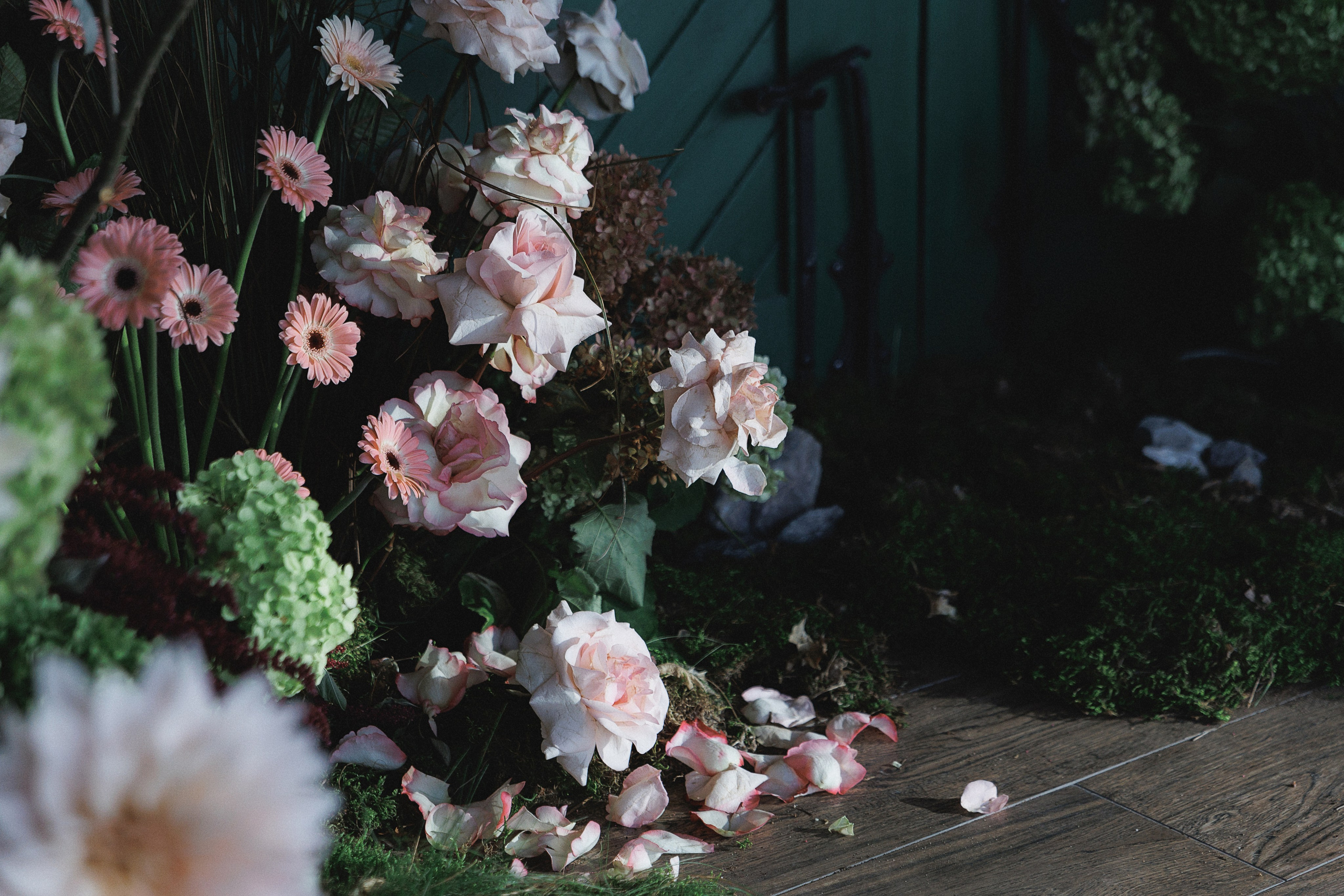 Александр & Наталья. Свадебный и репортажный фотограф Калининград