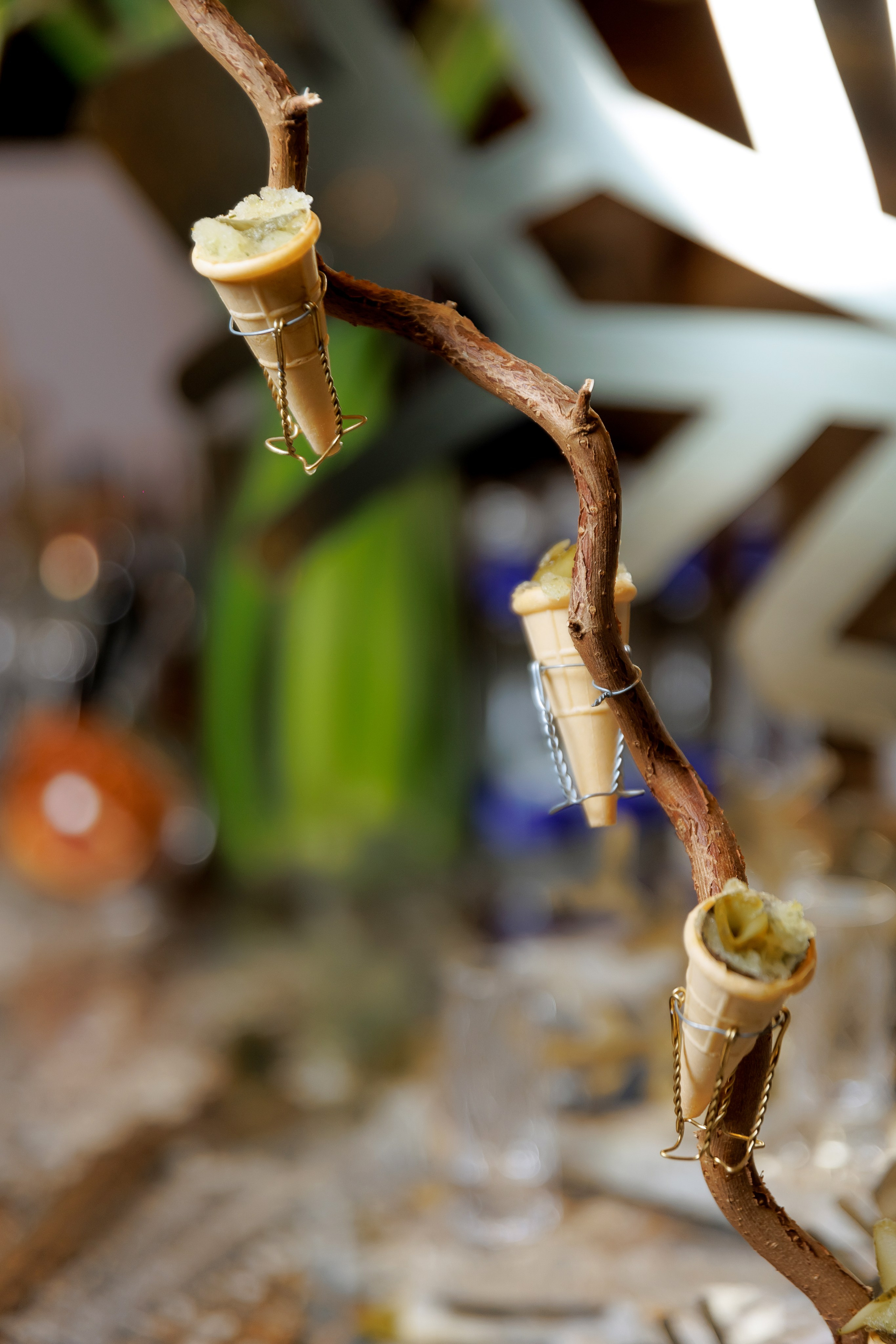 Dolce Vita «Икорная Вечеринка». Свадебный и репортажный фотограф Калининград