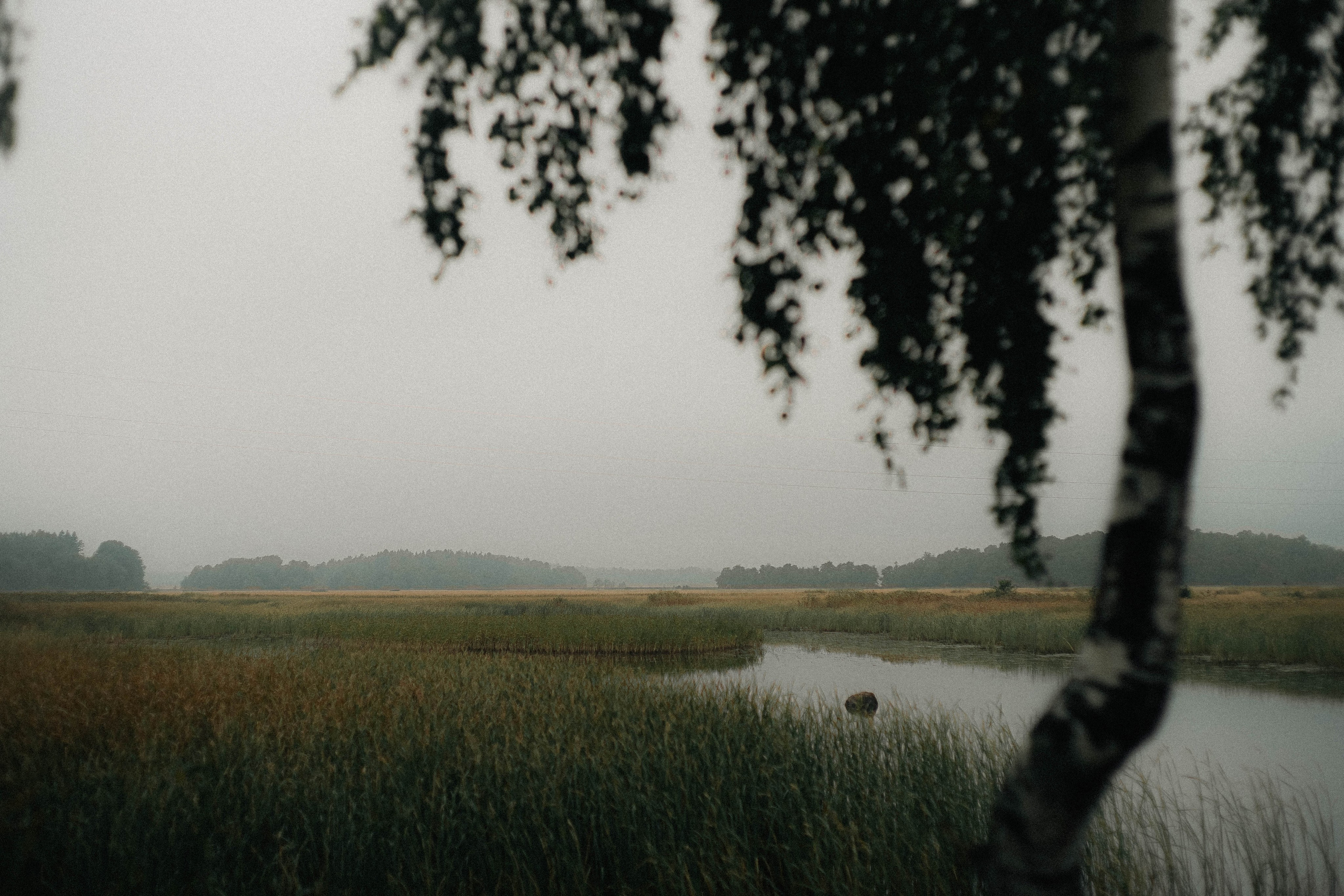 Ярослав Пьюсок