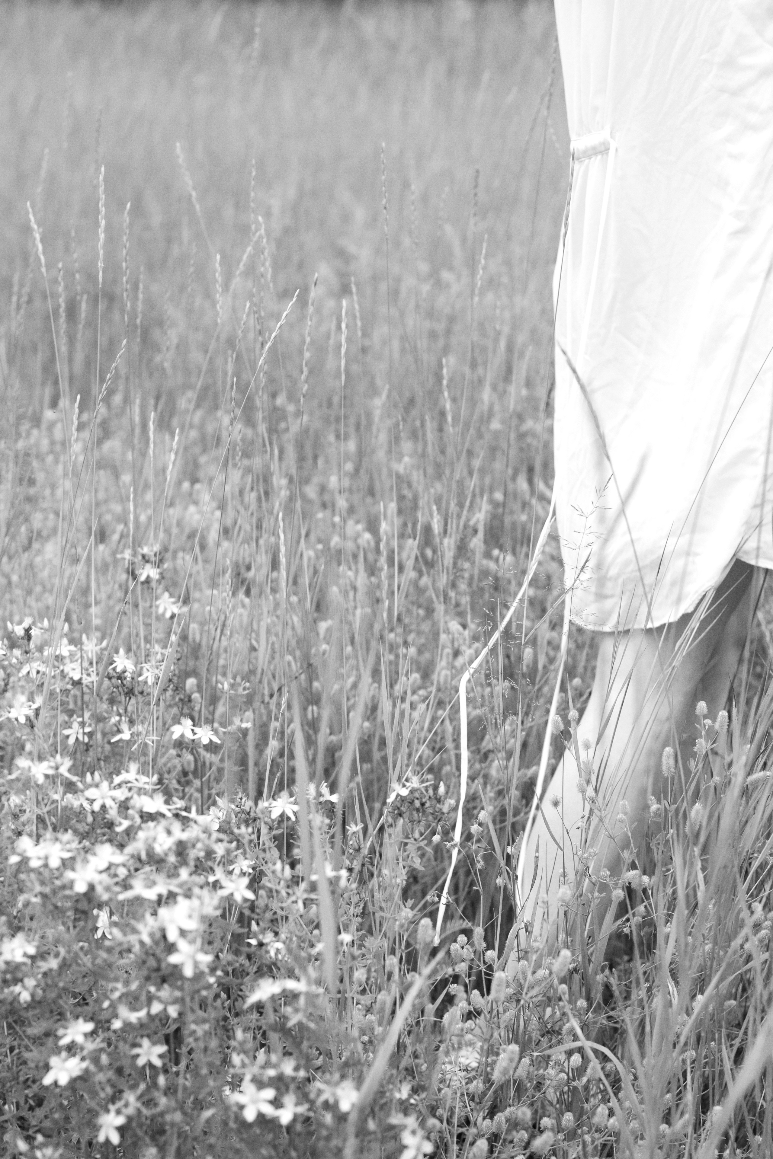 Портфолио. Фотограф Алла Добровицина