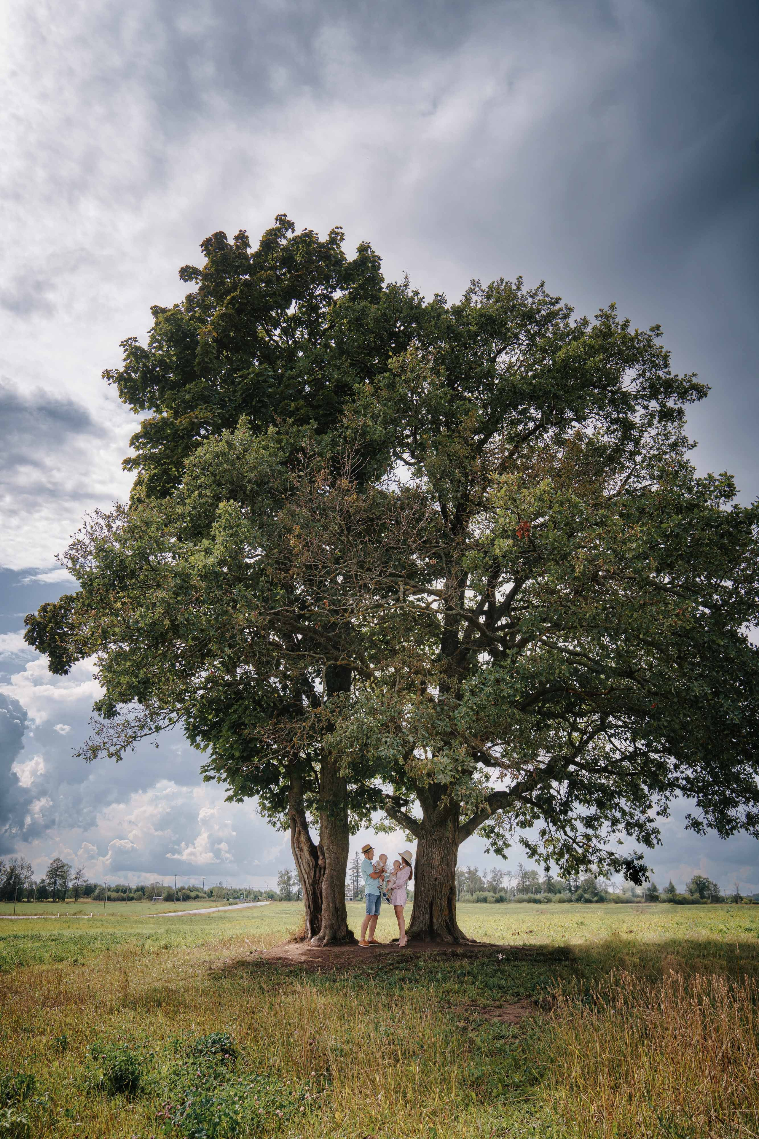 Игорь Лена Леша Сережа Людмила. Свадебный и семейный фотограф в Санкт-Петербурге Виктор Голубев