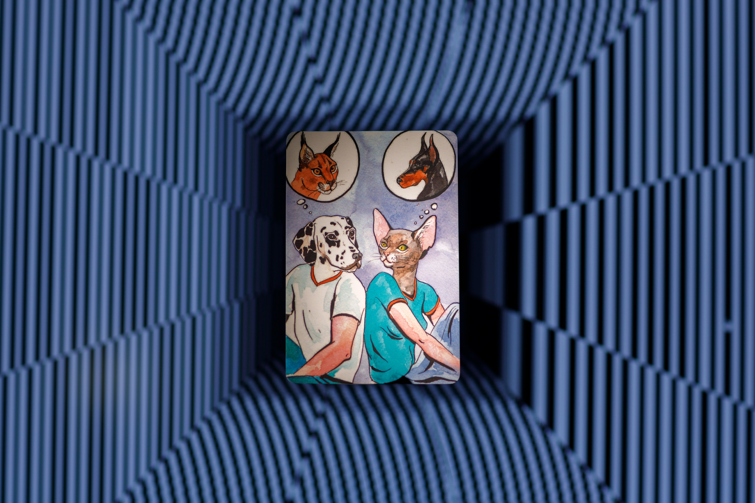 Проект «366»|2024|Фото каждый день. LENA GRACE photographer ||ЛЕНА ГРЭЙС фотограф