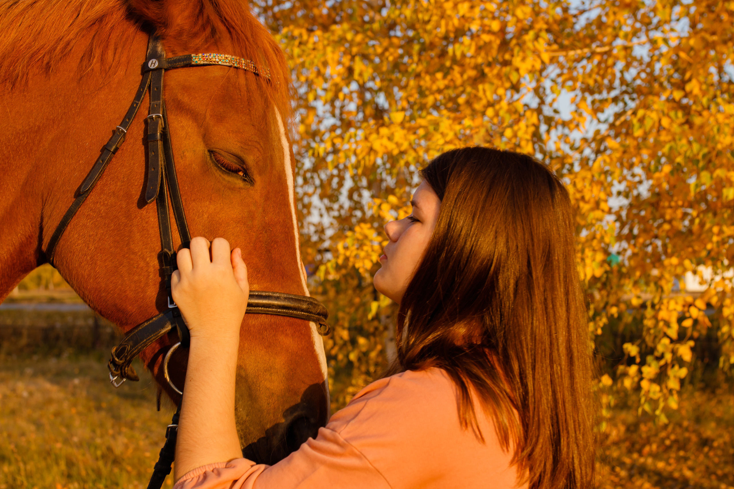 Самира. 7 лет в конном спорте