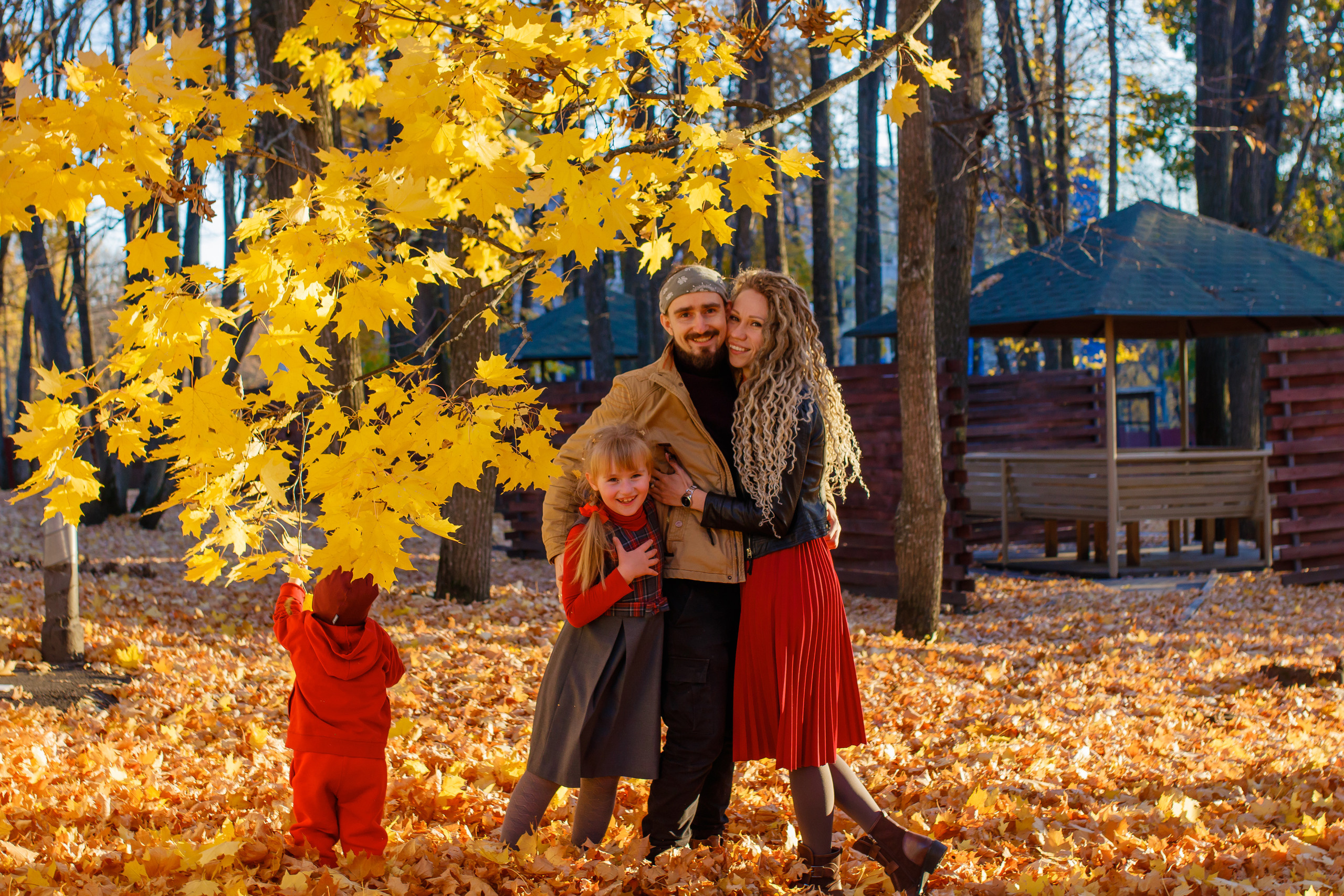 Золотая осень в Дубраве