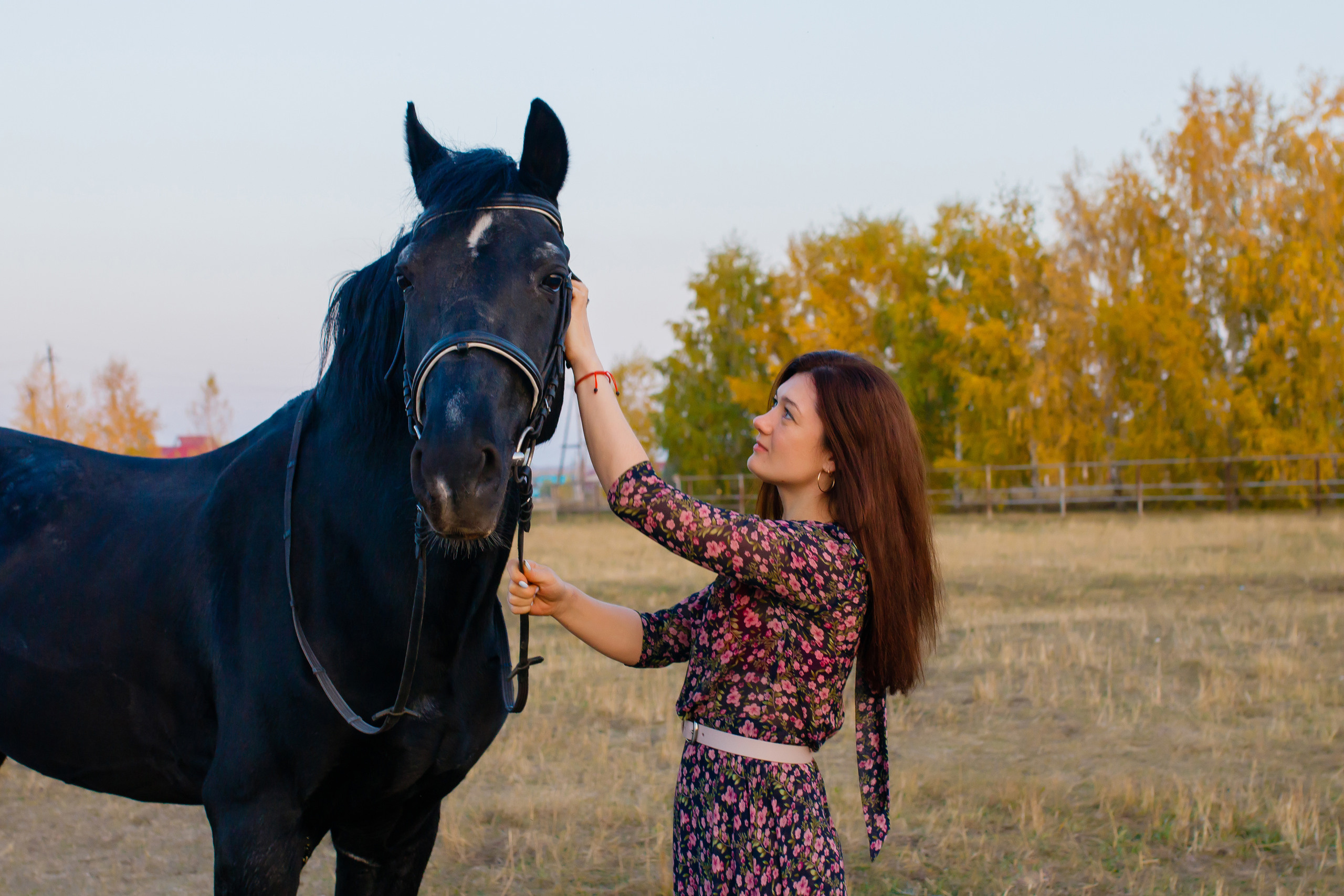 Самира. 7 лет в конном спорте