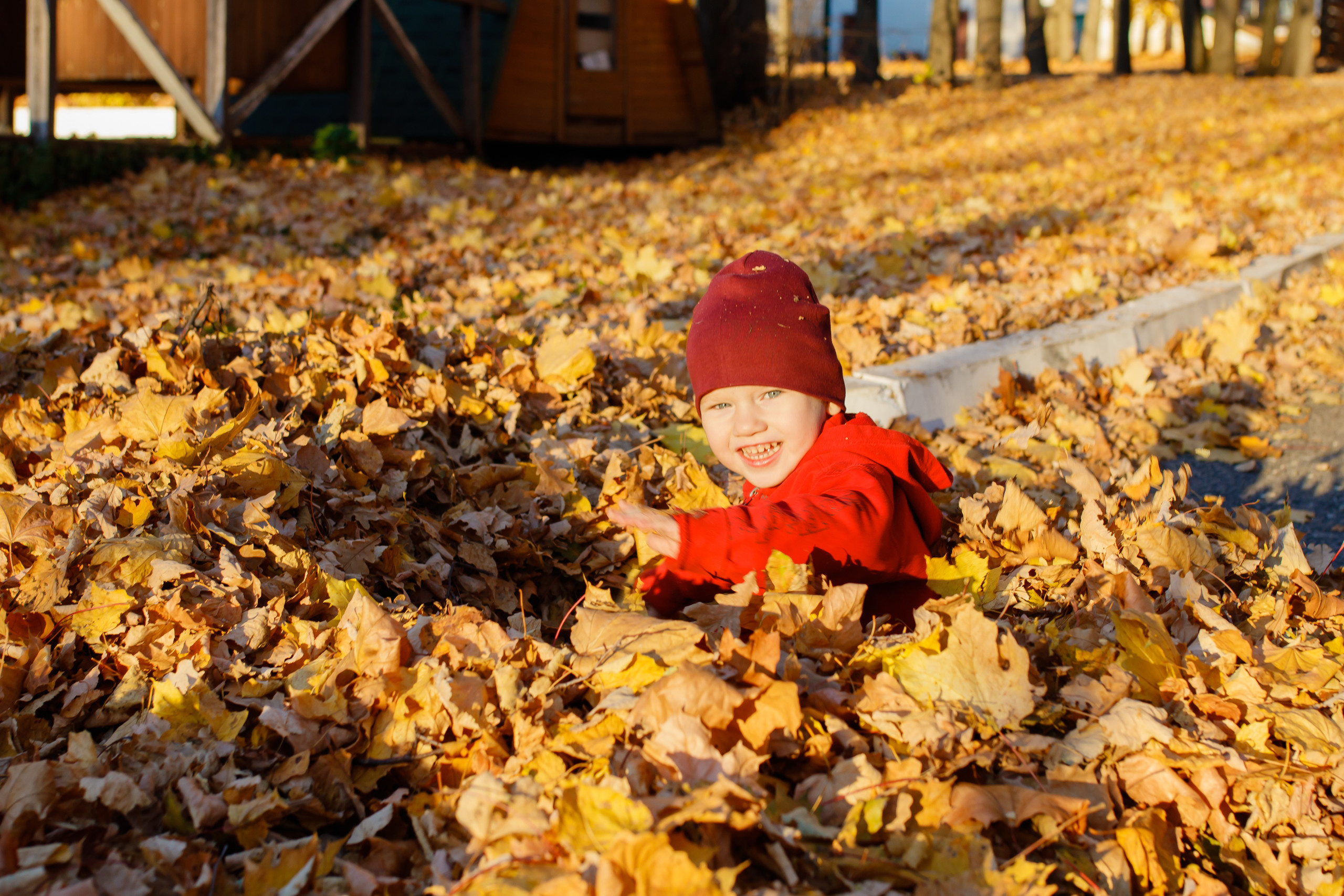 Золотая осень в Дубраве