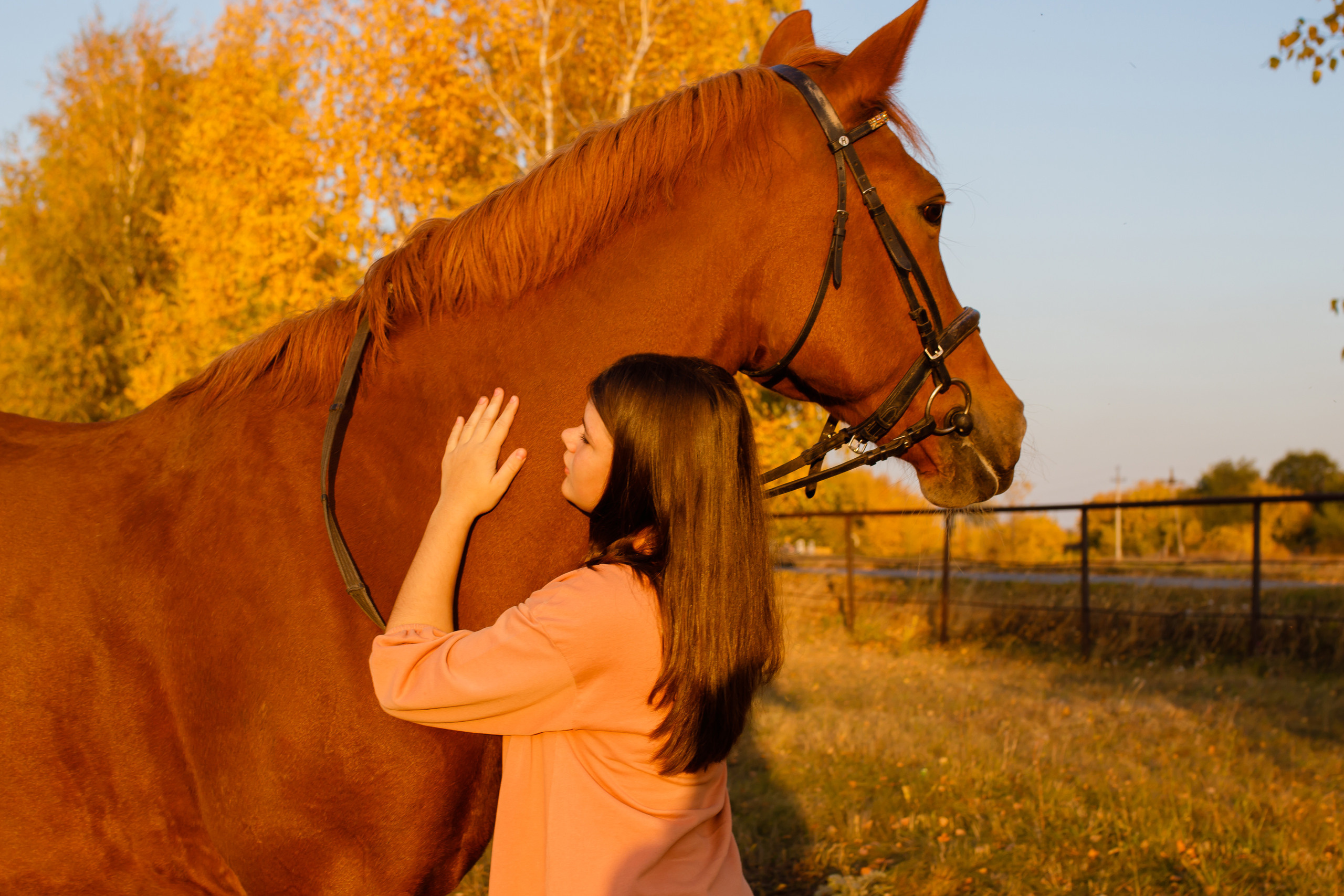Самира. 7 лет в конном спорте
