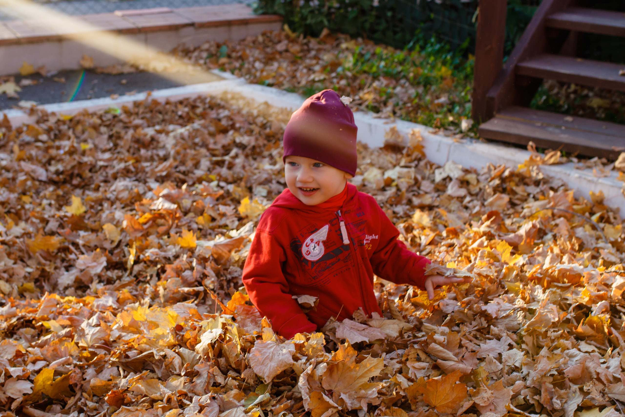 Золотая осень в Дубраве