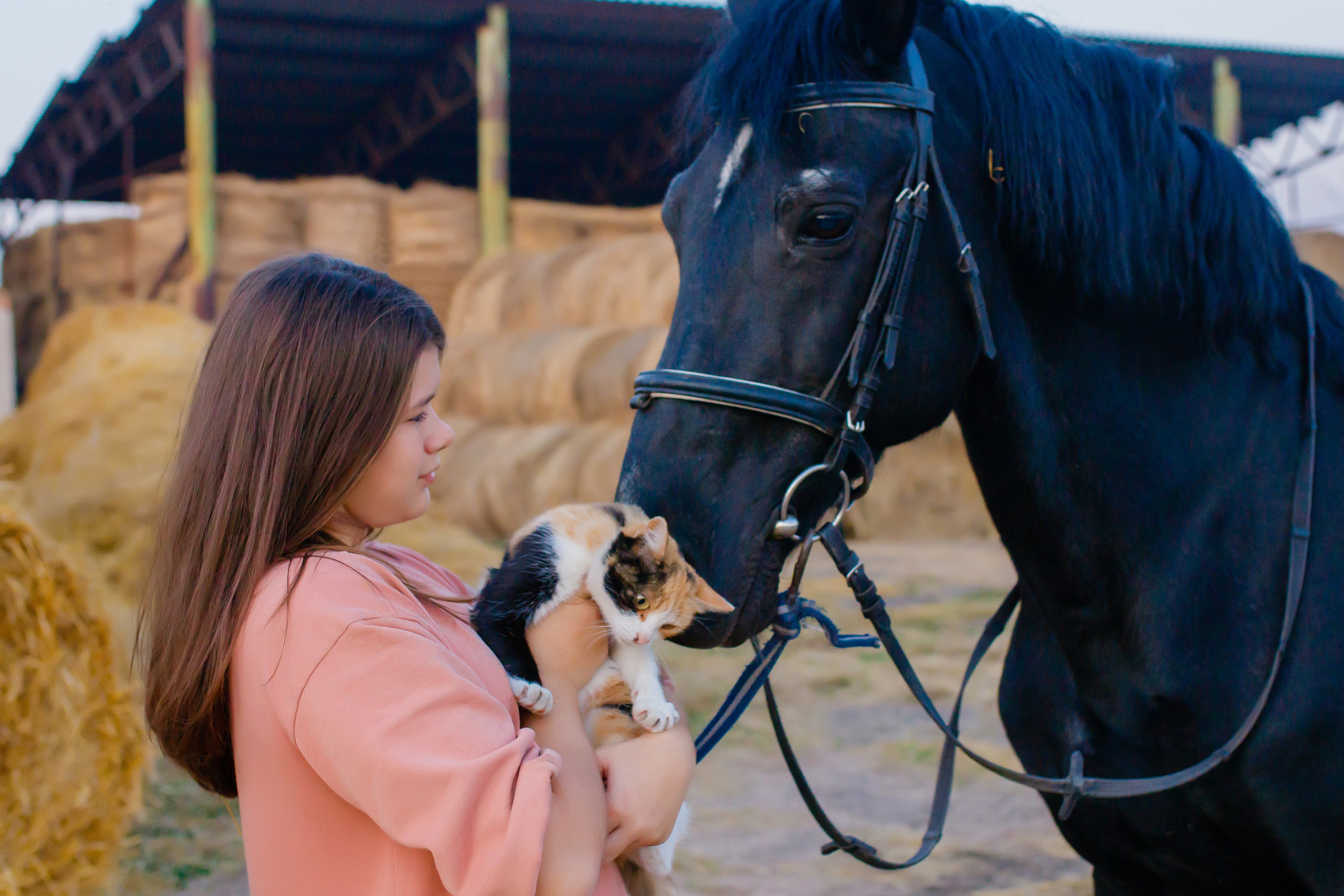 Самира. 7 лет в конном спорте