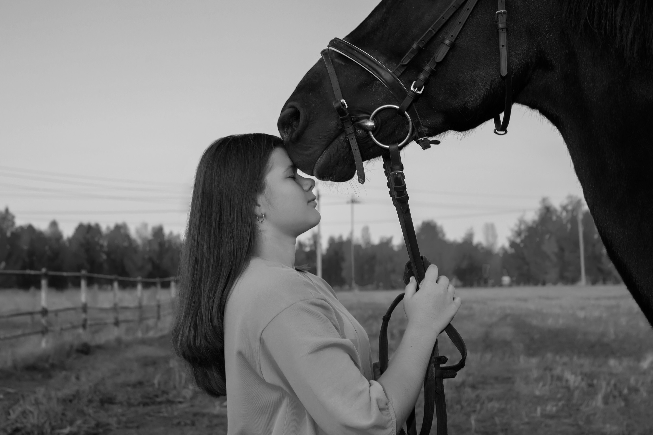 Самира. 7 лет в конном спорте