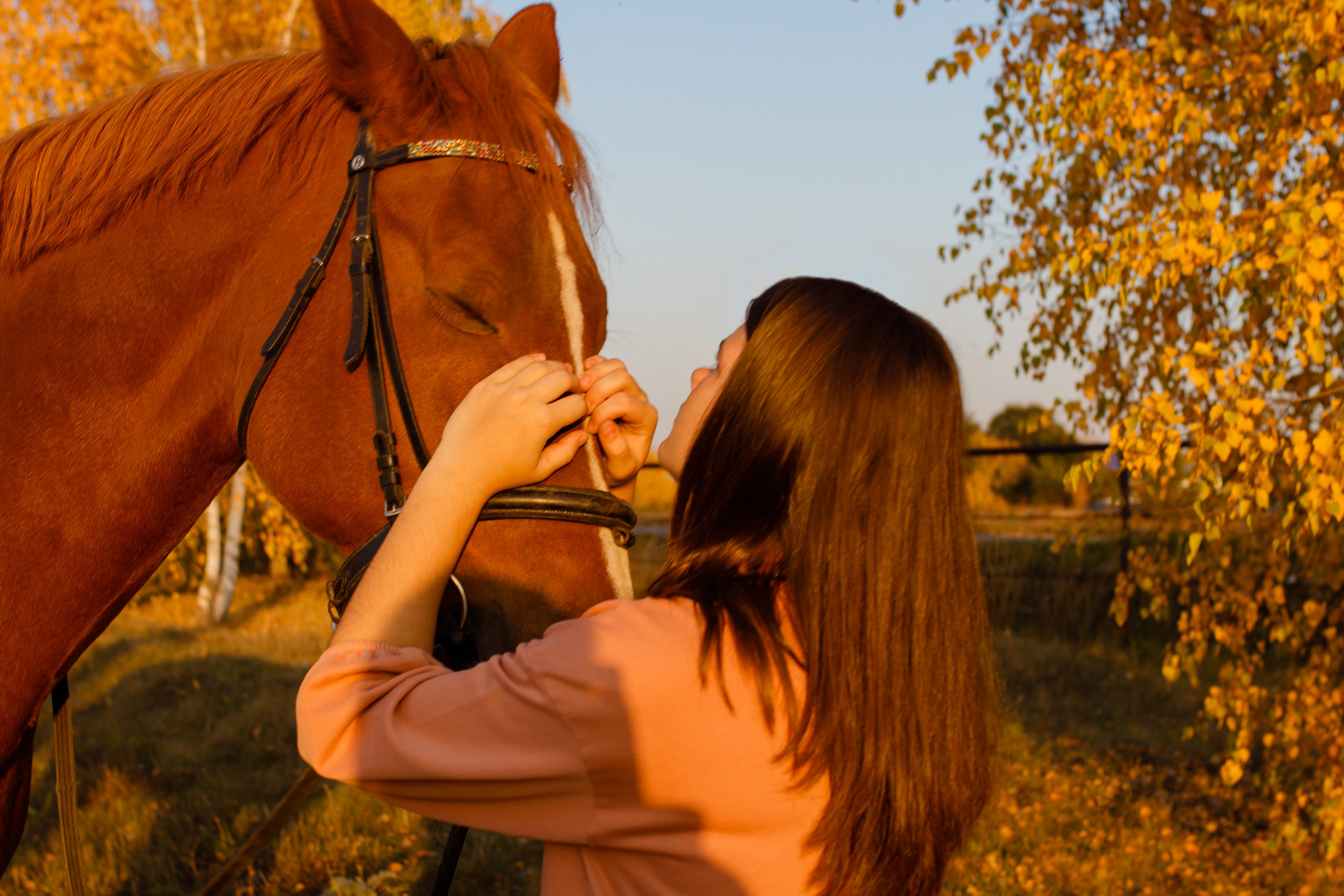 Самира. 7 лет в конном спорте