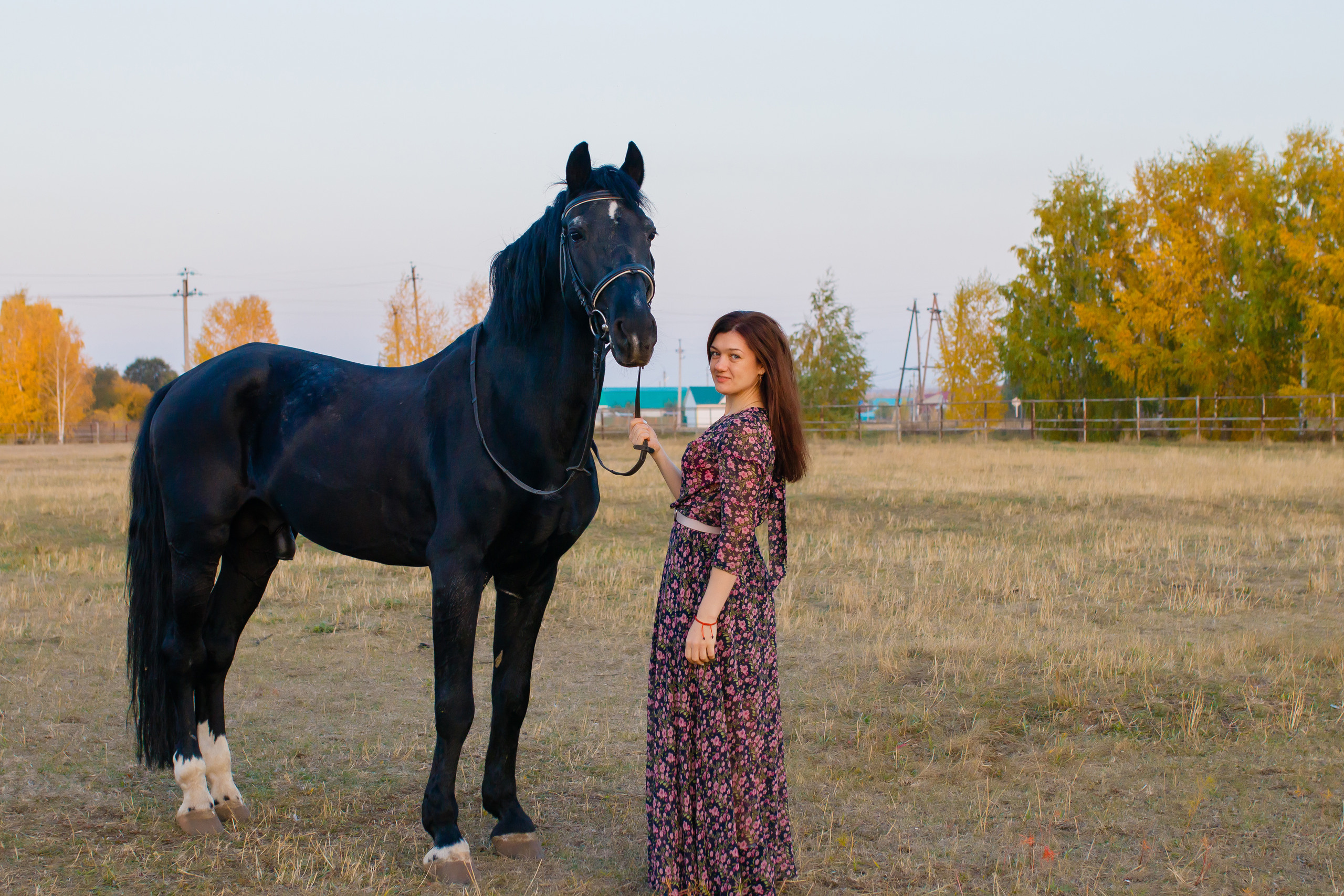 Самира. 7 лет в конном спорте