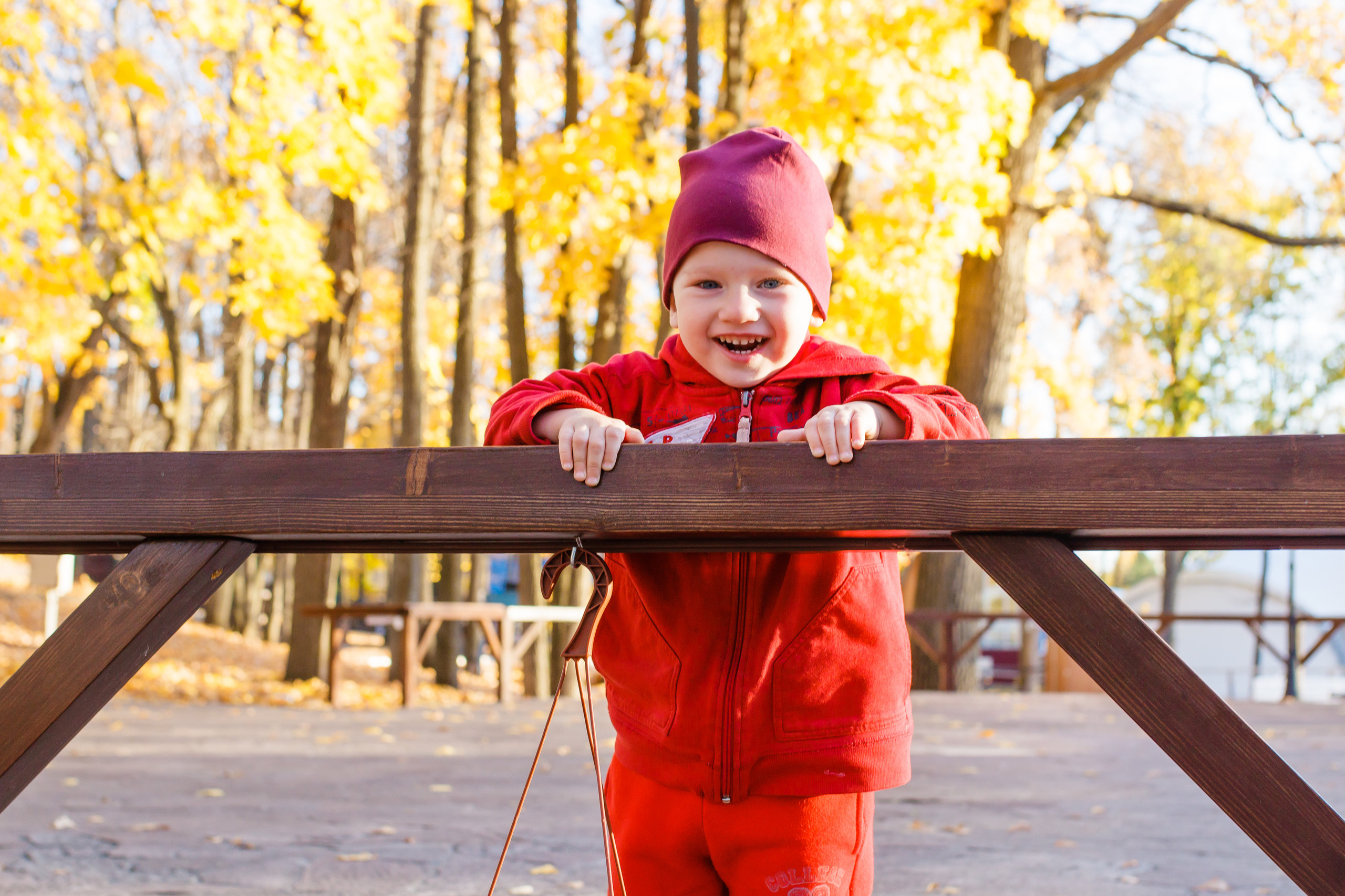 Золотая осень в Дубраве