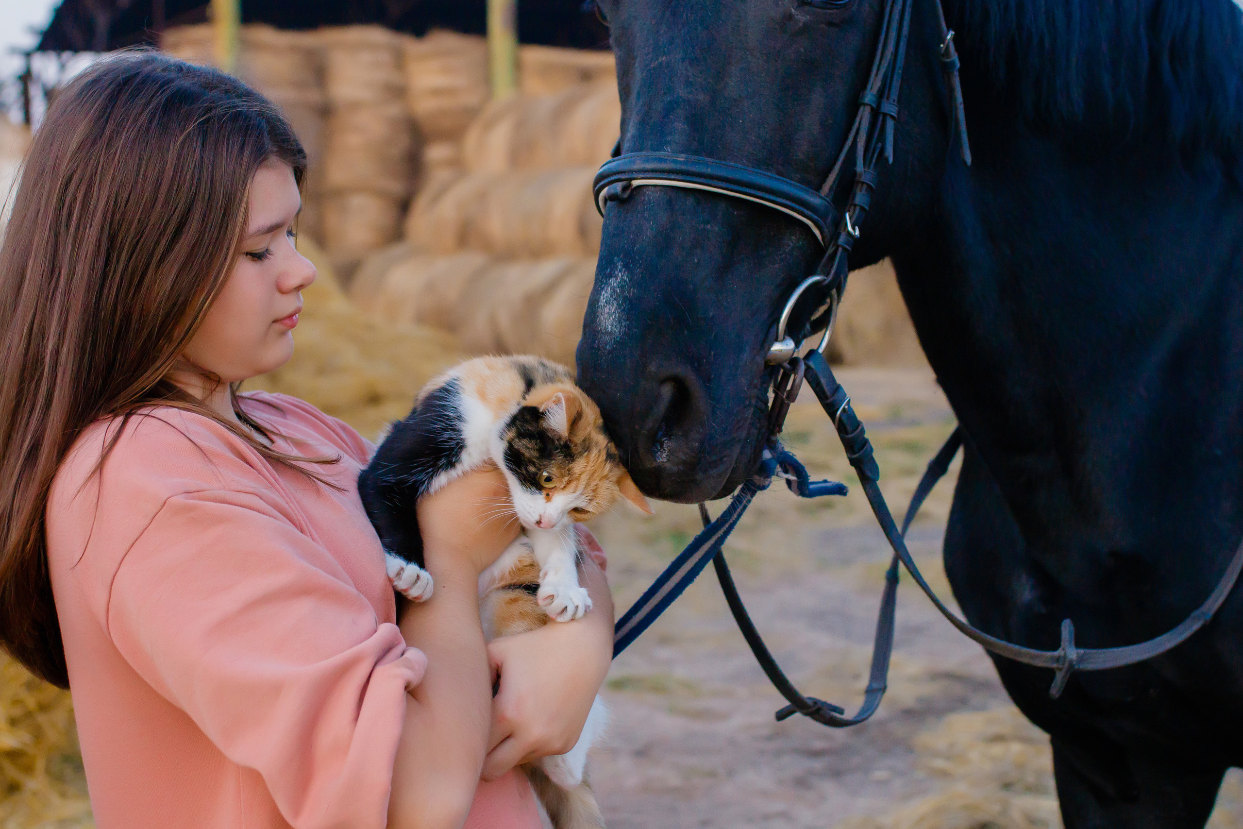 Самира. 7 лет в конном спорте