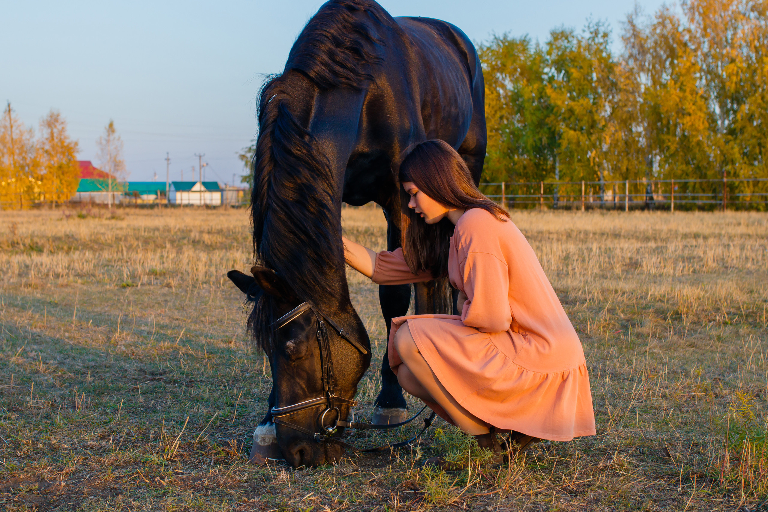 Самира. 7 лет в конном спорте