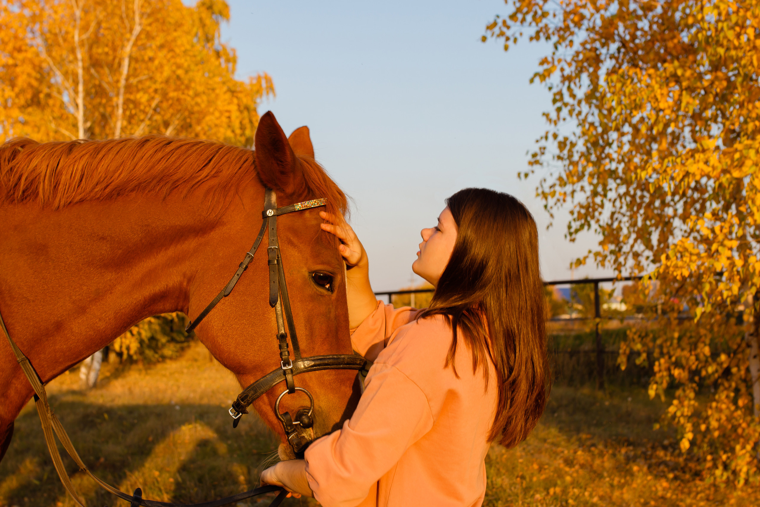 Самира. 7 лет в конном спорте