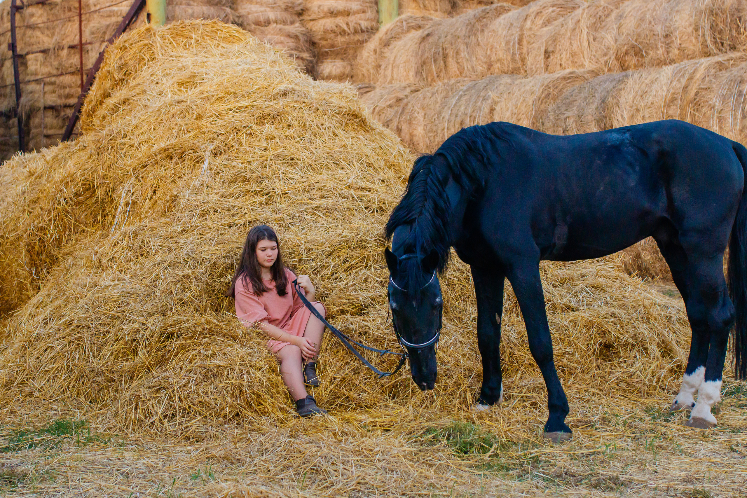Самира. 7 лет в конном спорте