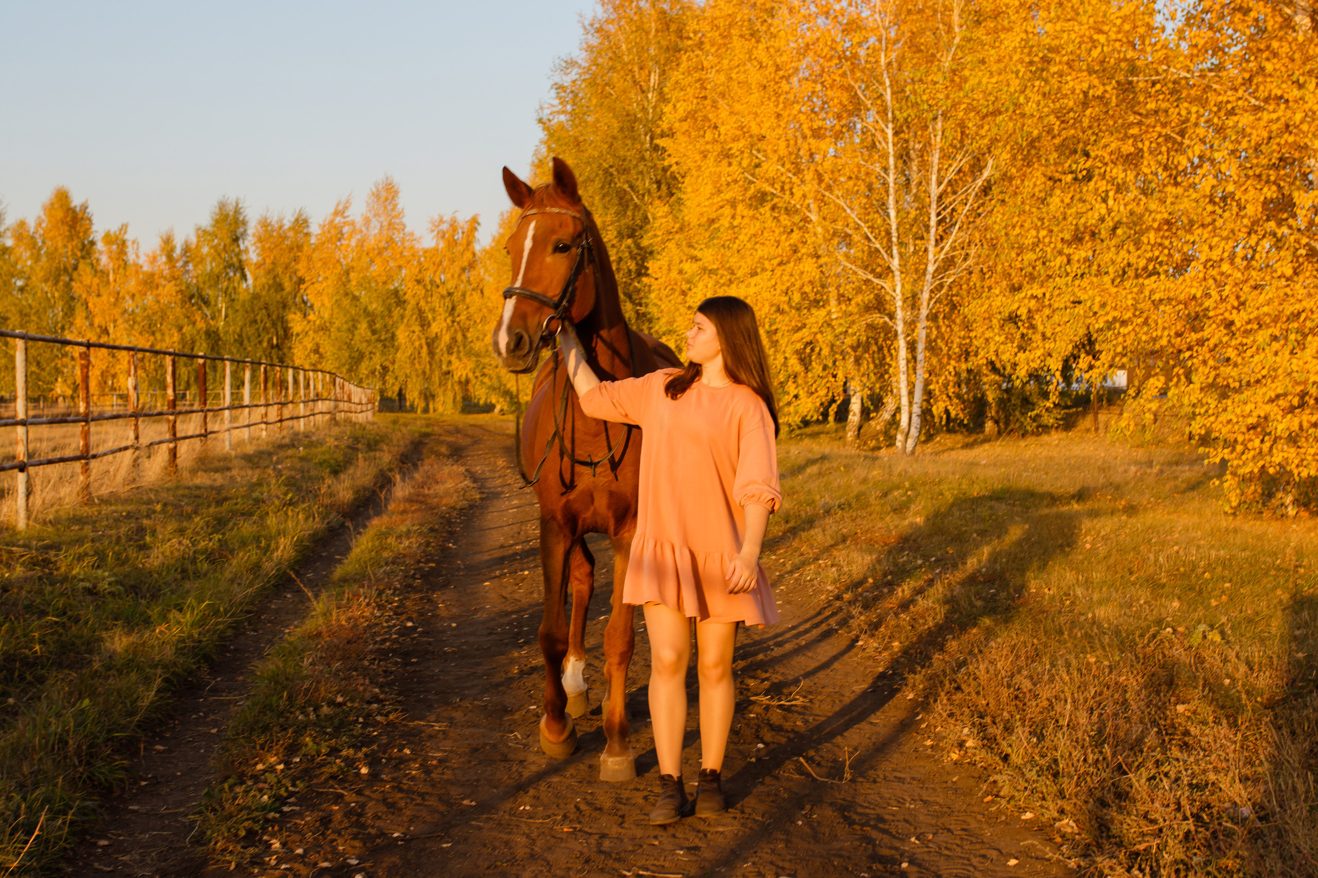 Самира. 7 лет в конном спорте