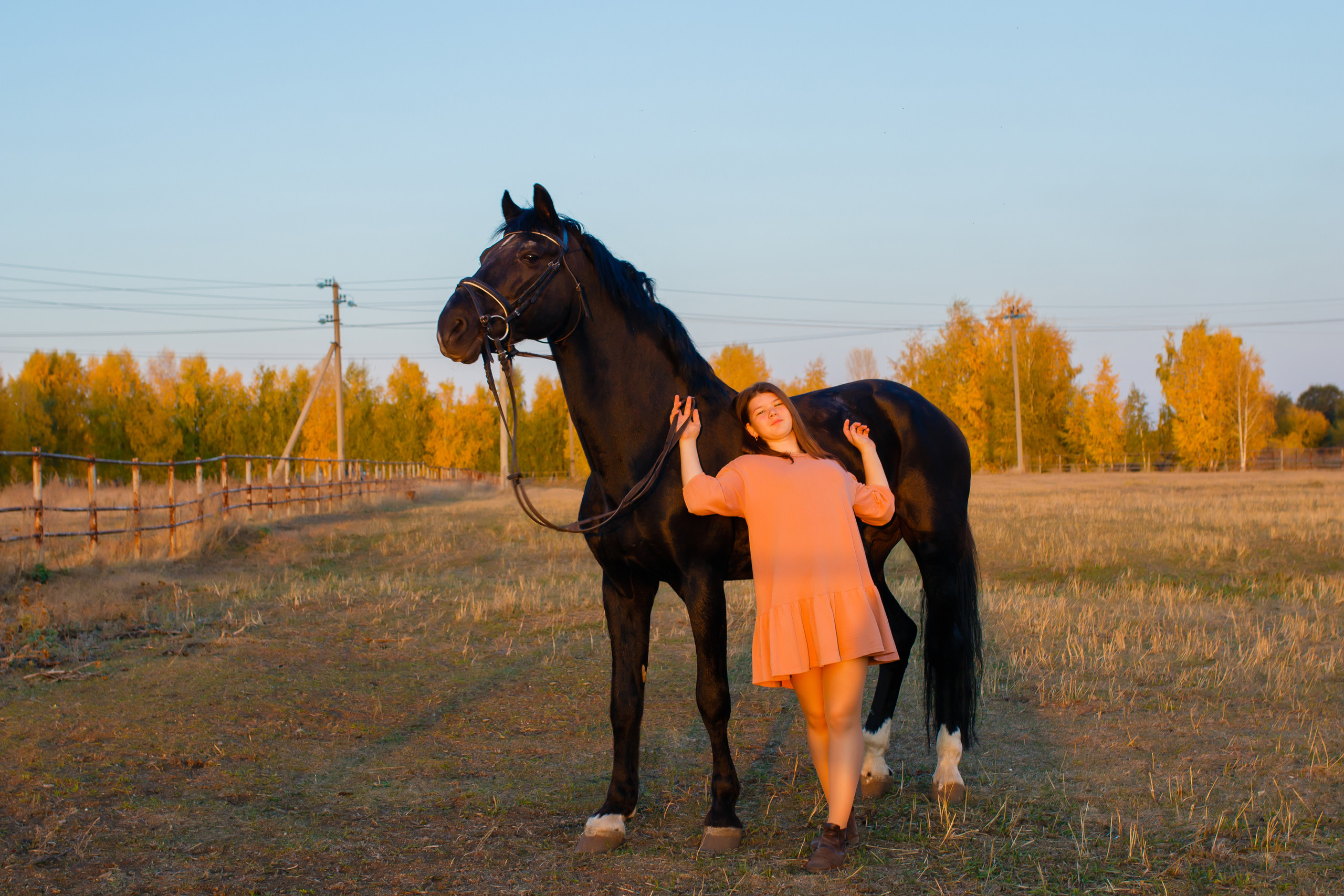 Самира. 7 лет в конном спорте