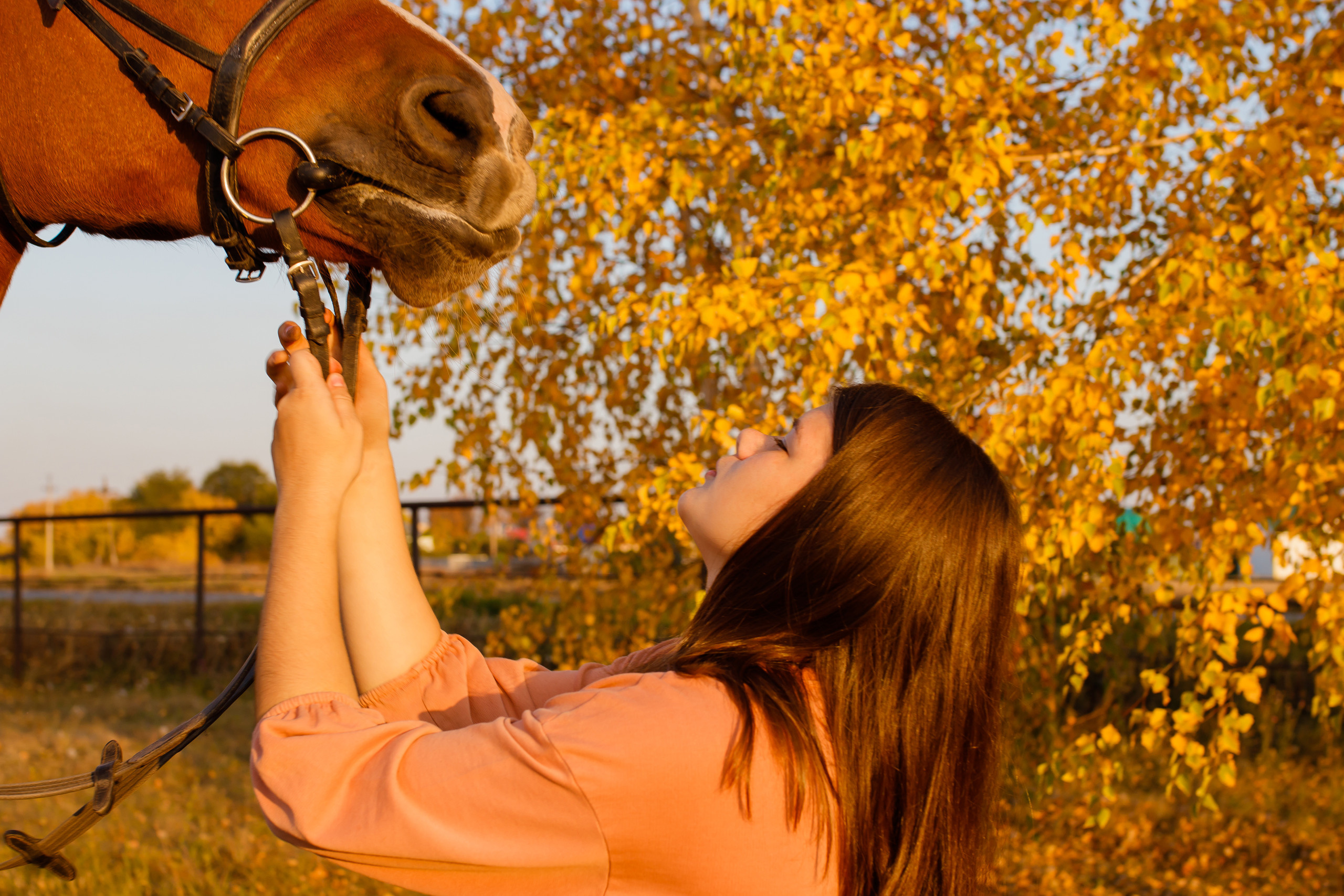 Самира. 7 лет в конном спорте