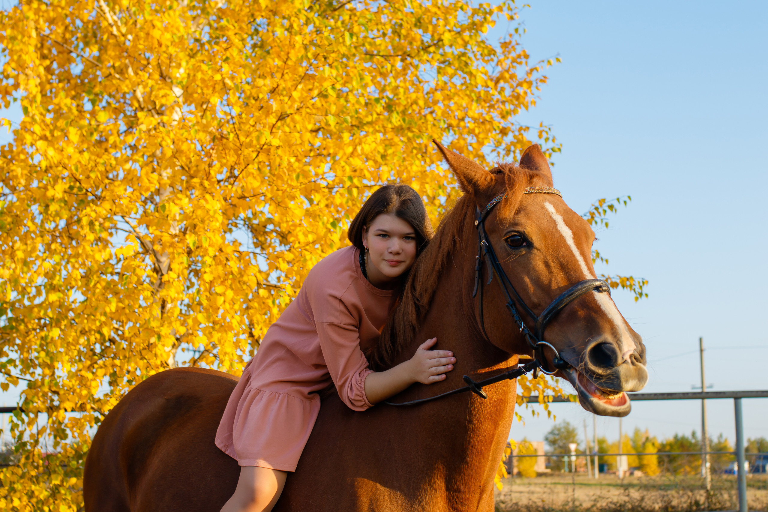 Самира. 7 лет в конном спорте