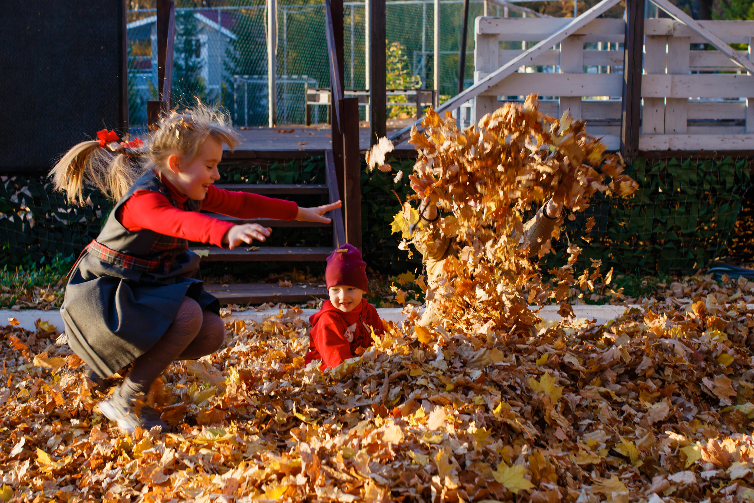 Золотая осень в Дубраве