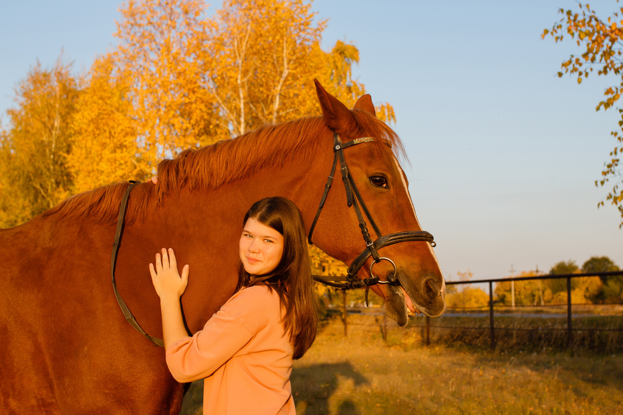 Самира. 7 лет в конном спорте