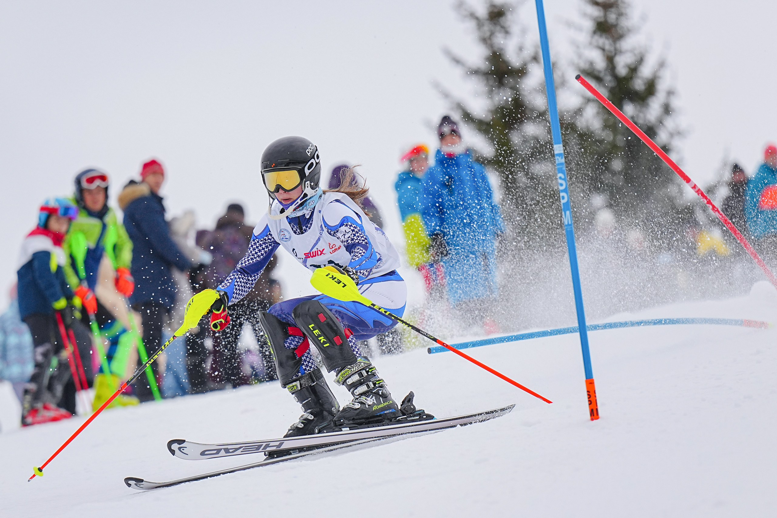 SL (Slalom) - Слалом. Соревнования по горнолыжному спорту. Московская область, Шуколово
