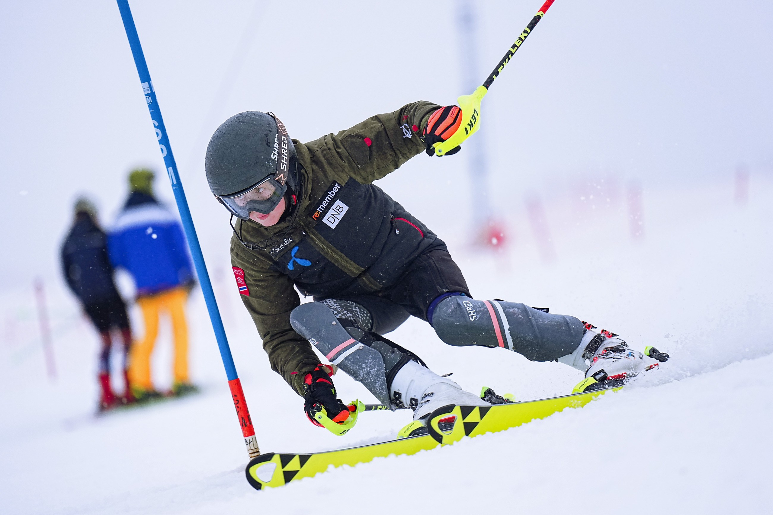 Волен. Тренировка. SL, 2024. Фотограф Студитский Евгений