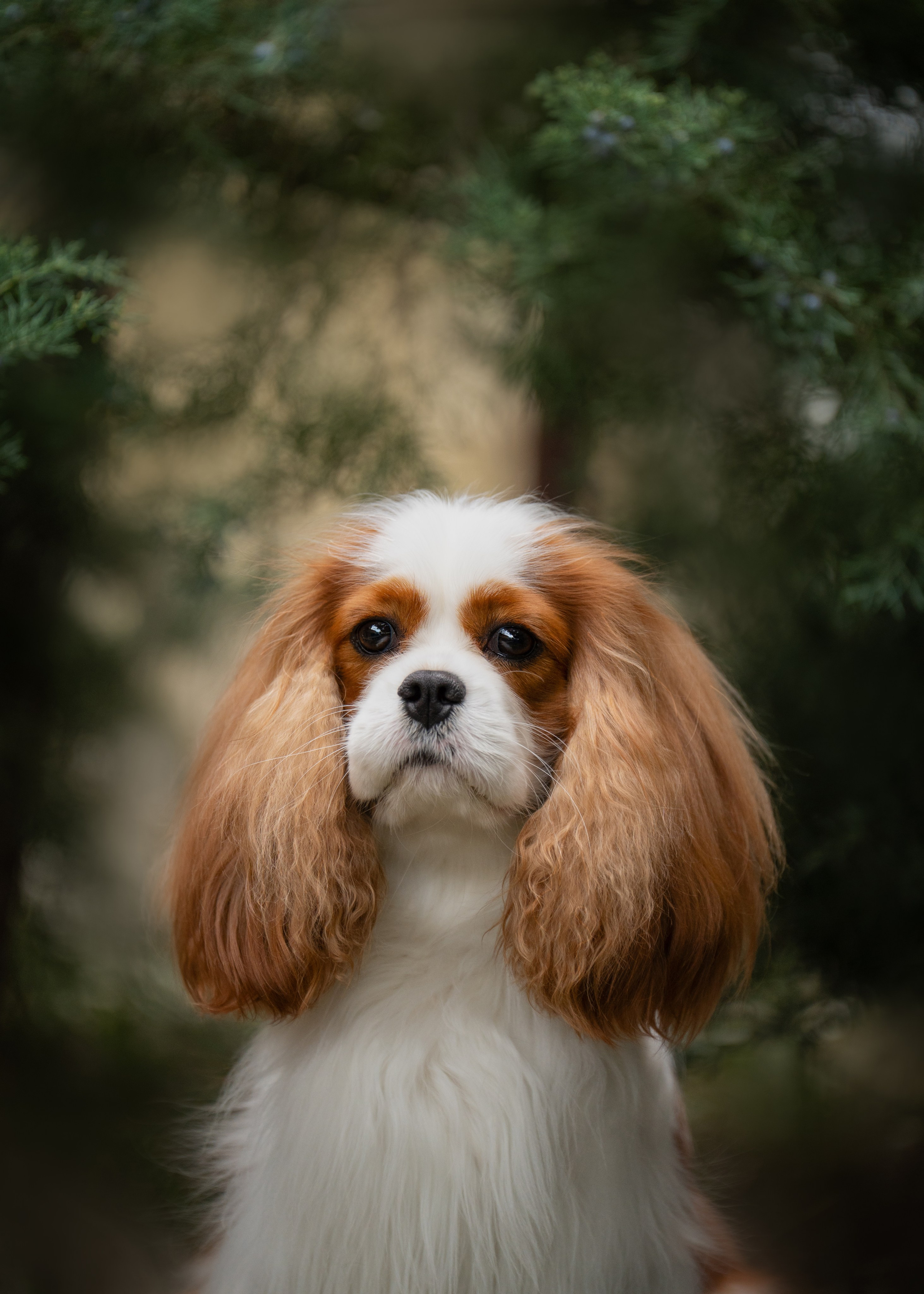 НОУЗВОРК 1–4 мая