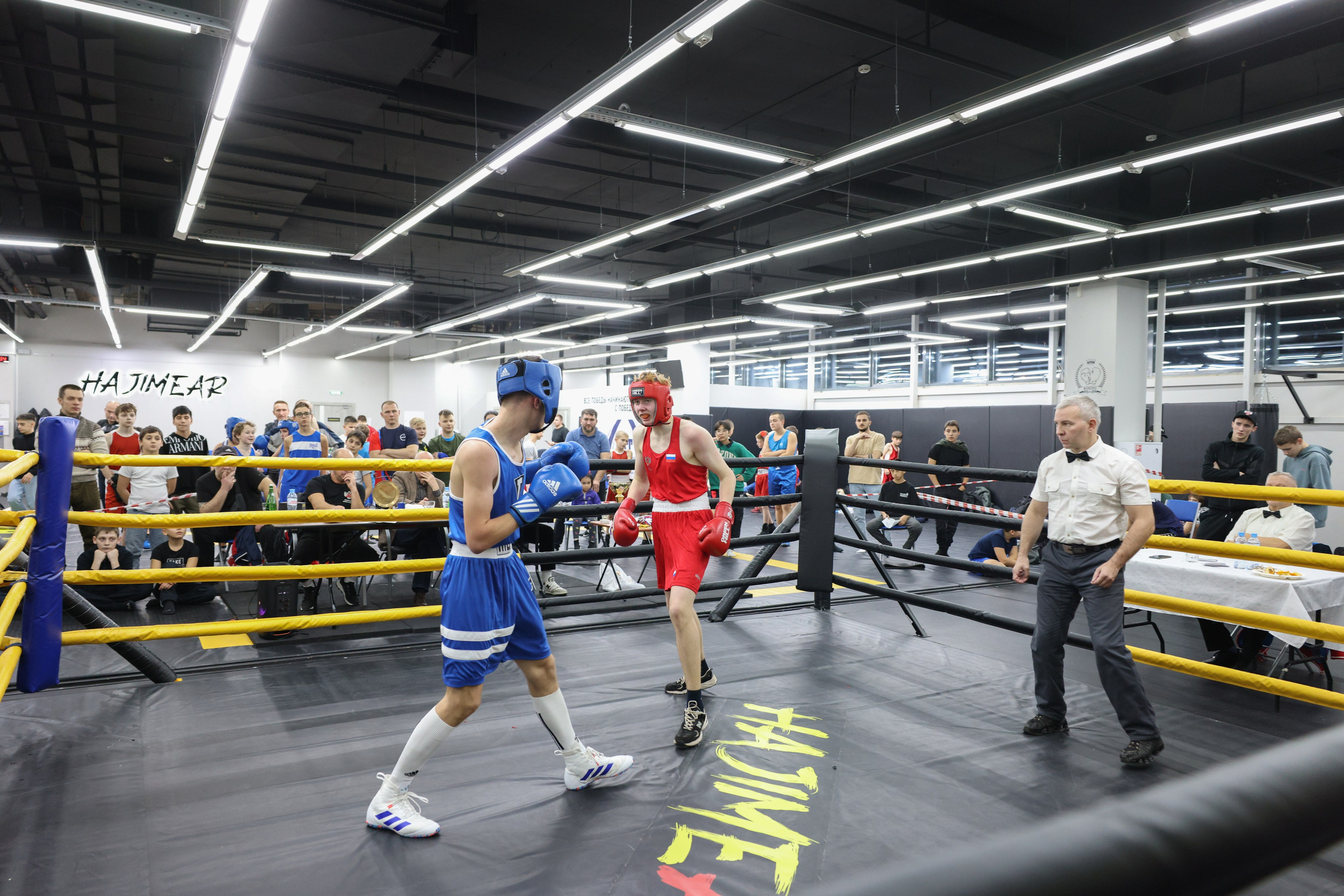 Открытый ринг «кубок ООО «ТЭК НеваСпецТяж». Фотограф Александр Заломаев
