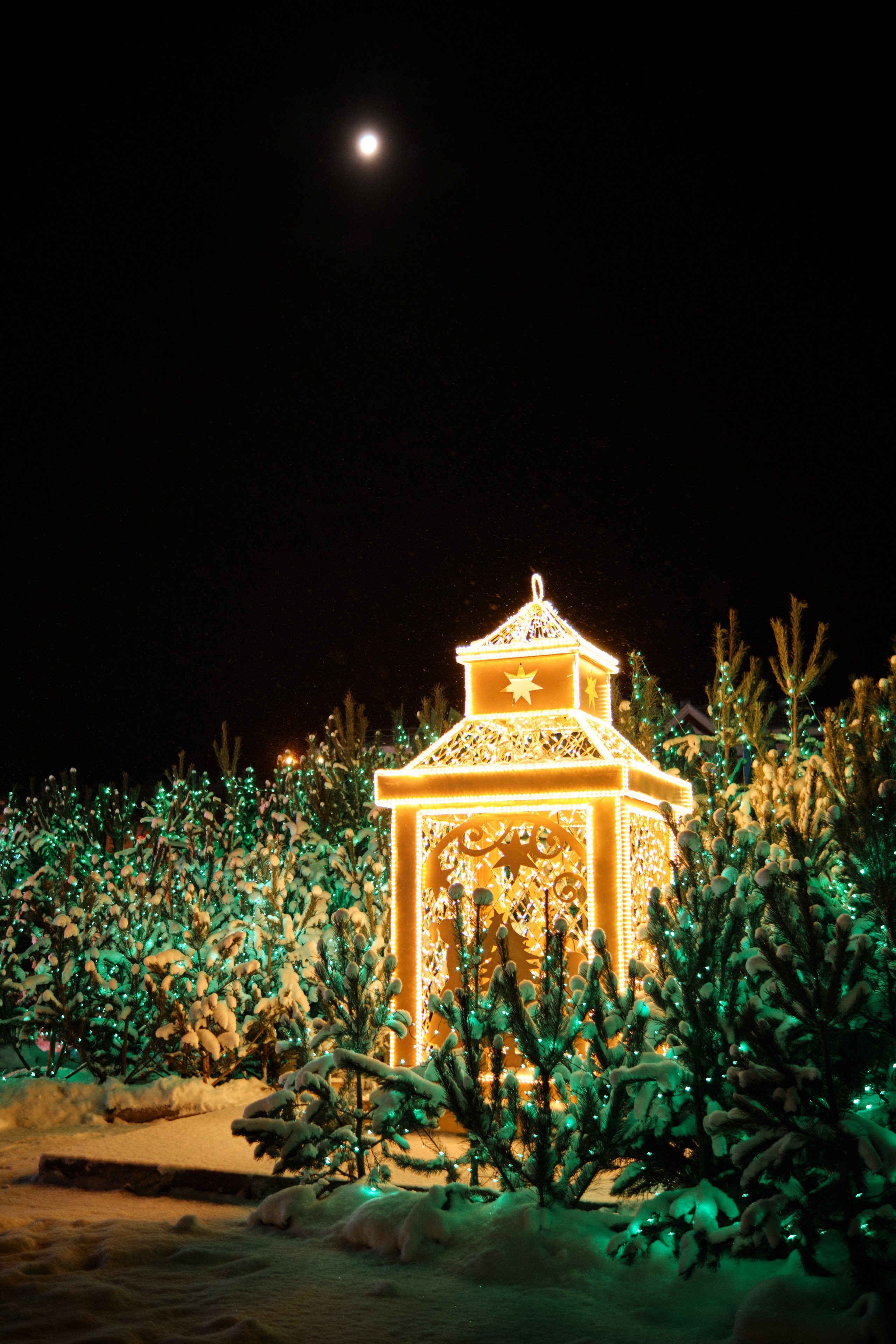 Новогодние виды Самары