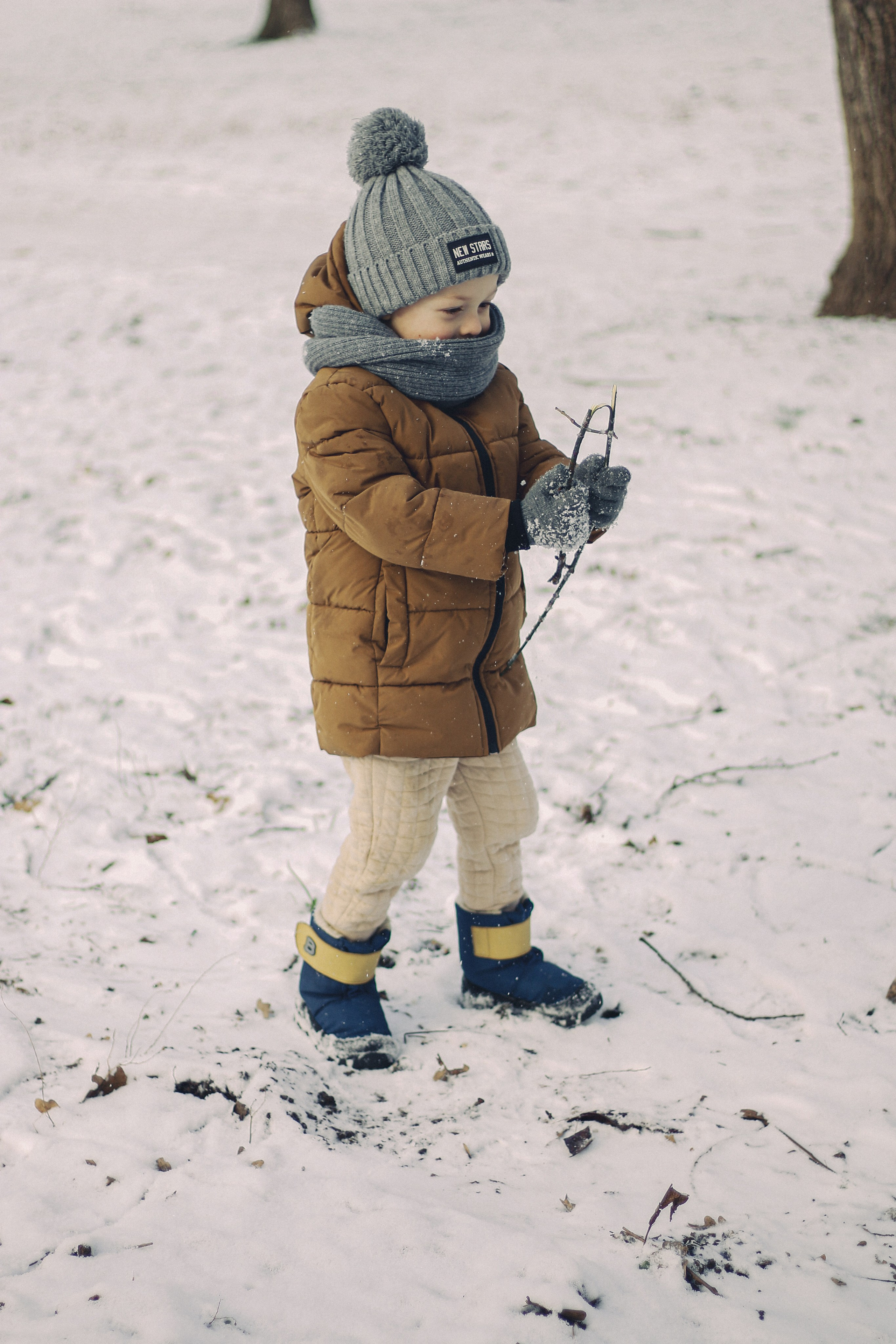 Зимний Краснодар. Фотограф Краснодар