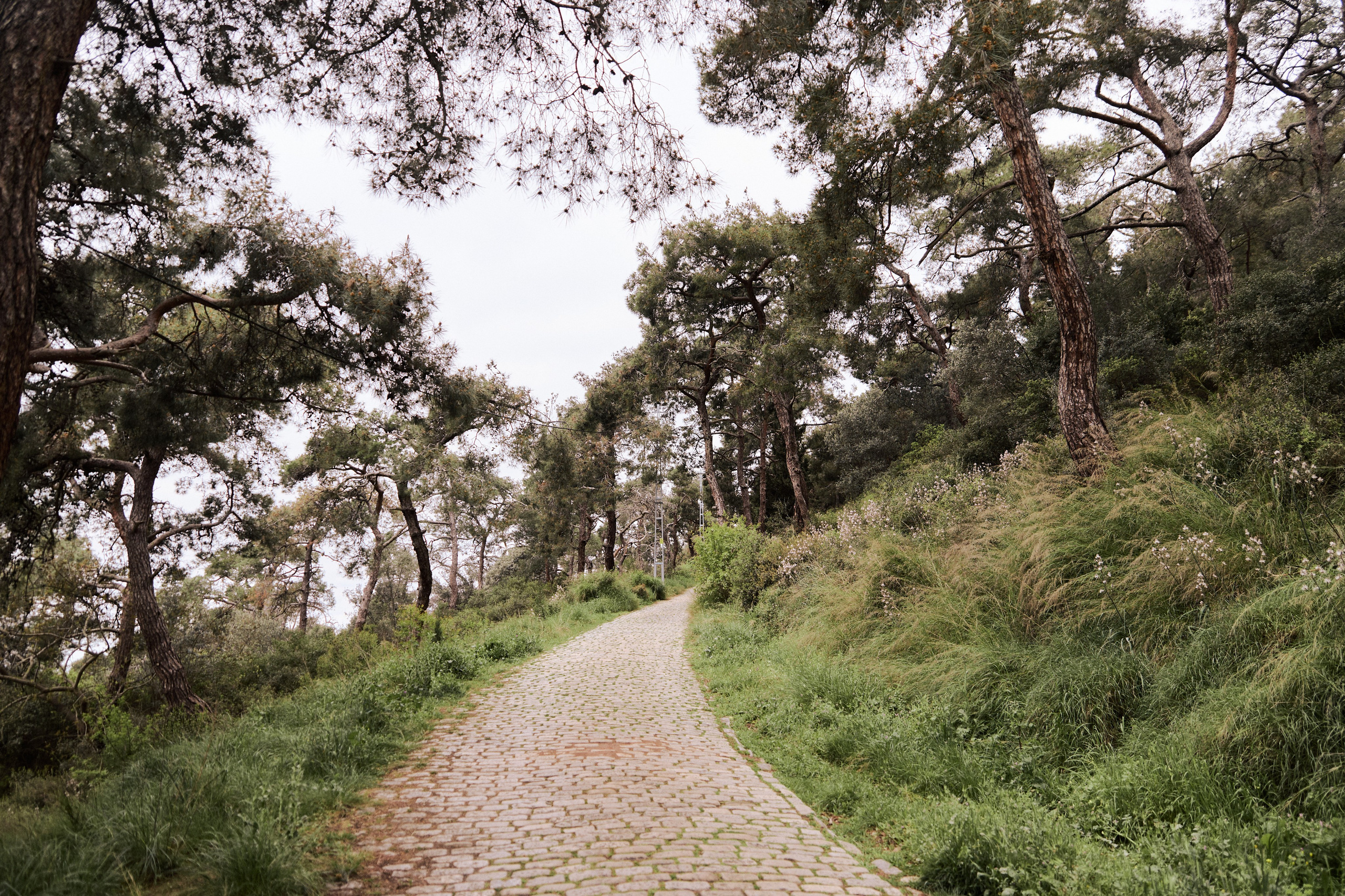Улица горизонтальная. Jorgis — фотограф в Хургаде / обучение фотографии