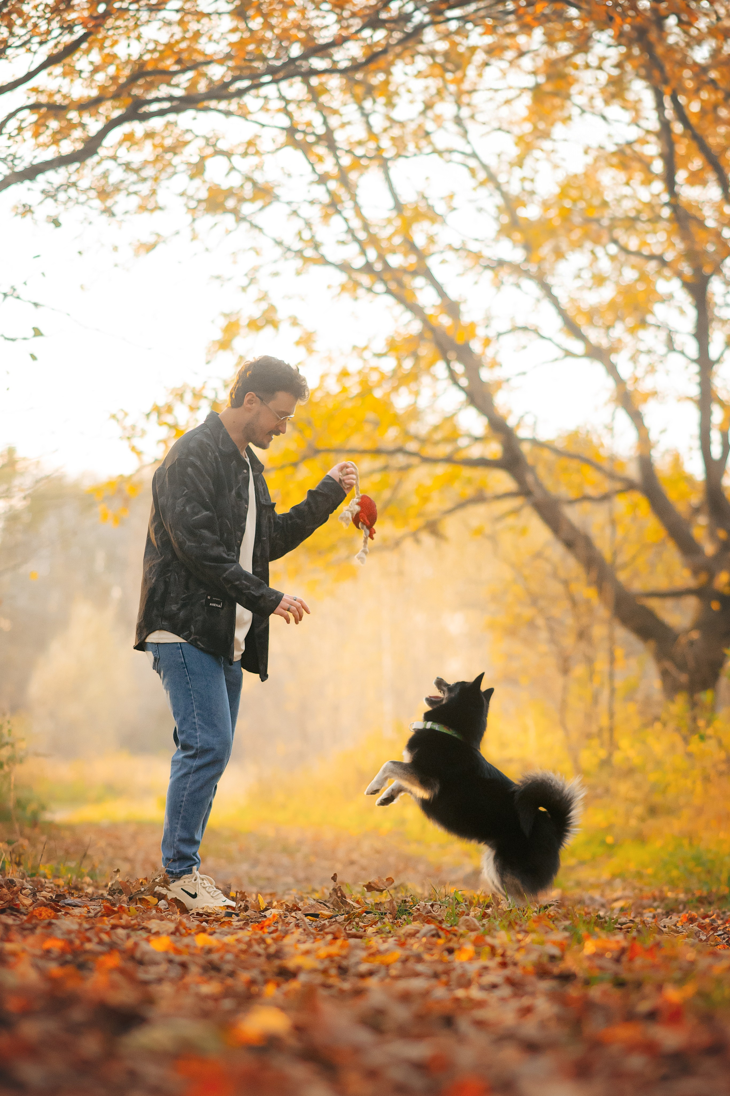 Максим, Надя, Рой и Шелби — 13.10.2024. Фотограф — Анималист | Анна Абрамова