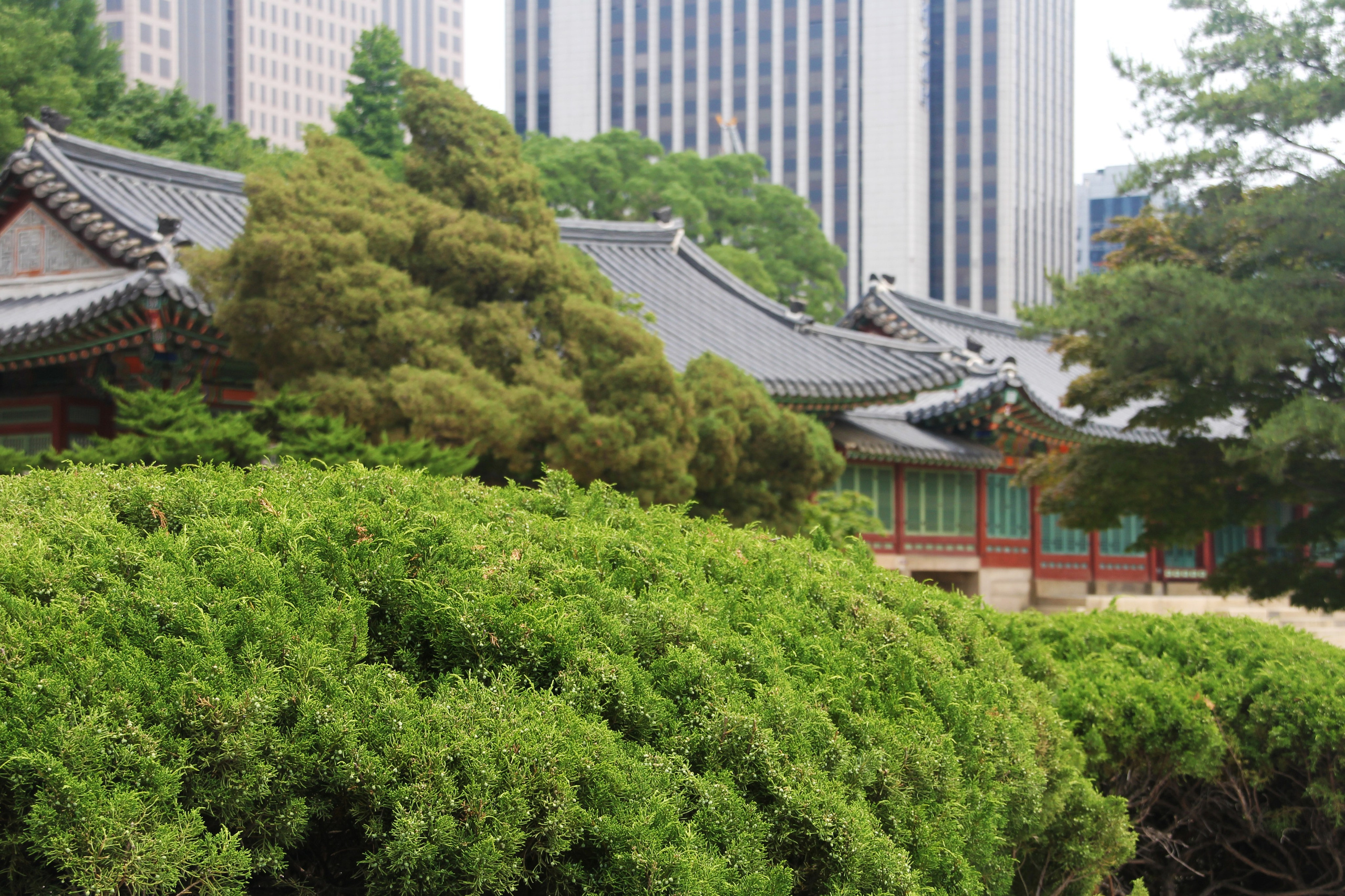Южная Корея — Сеул. Фотограф Алексей Федорищев