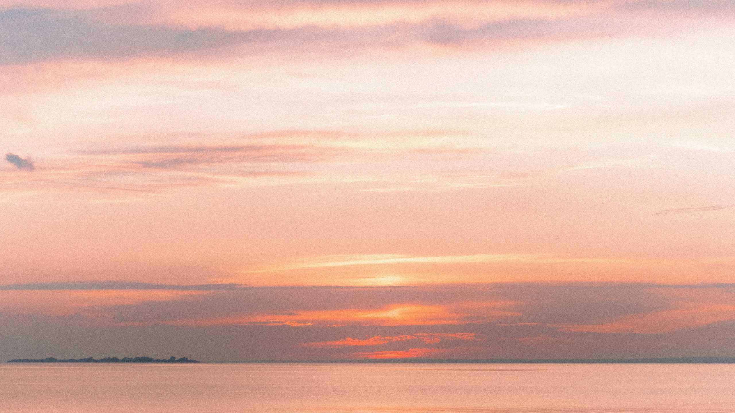 Daria | Egor. Свадебный фотограф Санкт-Петербург DanyaPhotoart