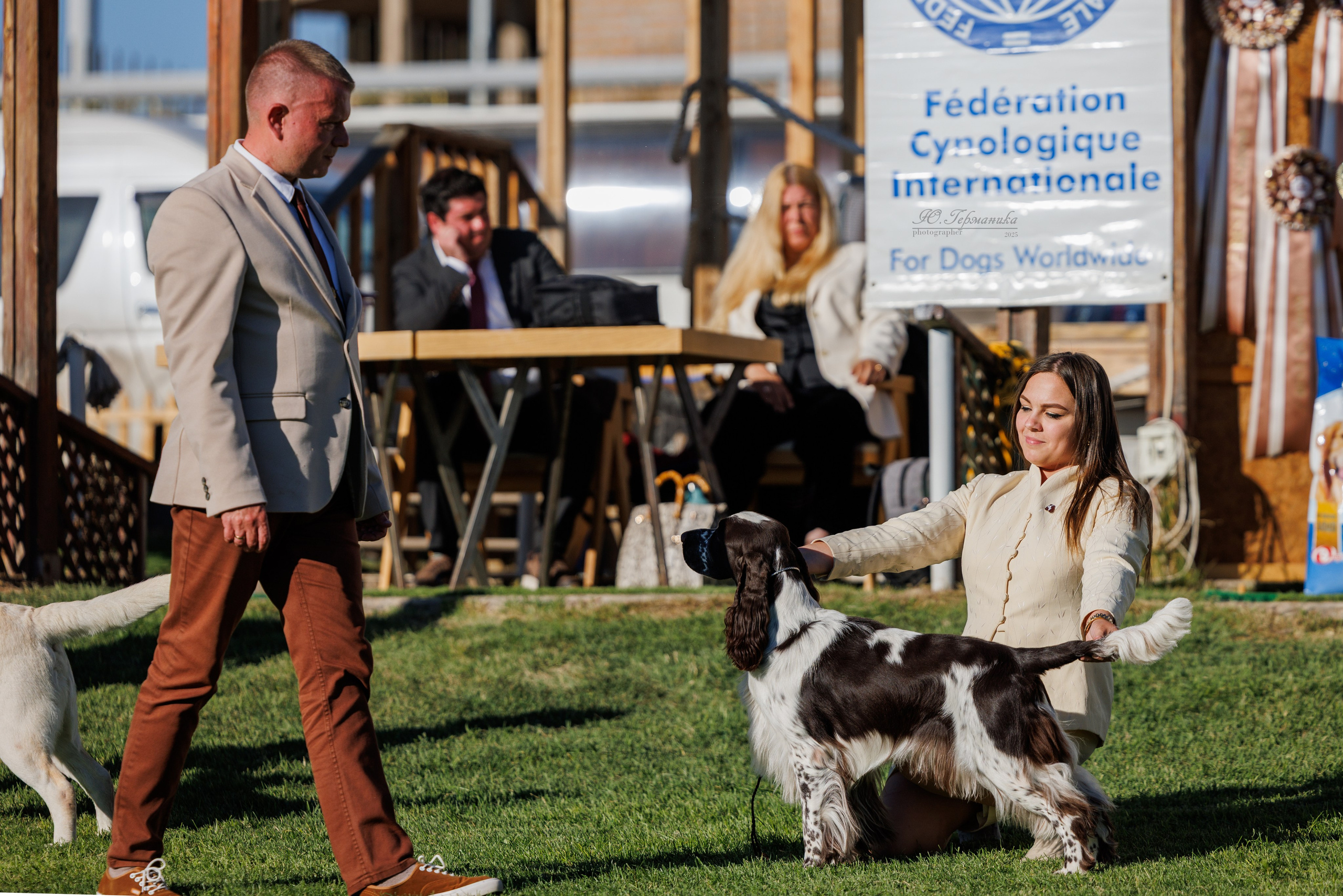 Ереван 14-16.10.2025. Фотограф-анималист Юлия Германика