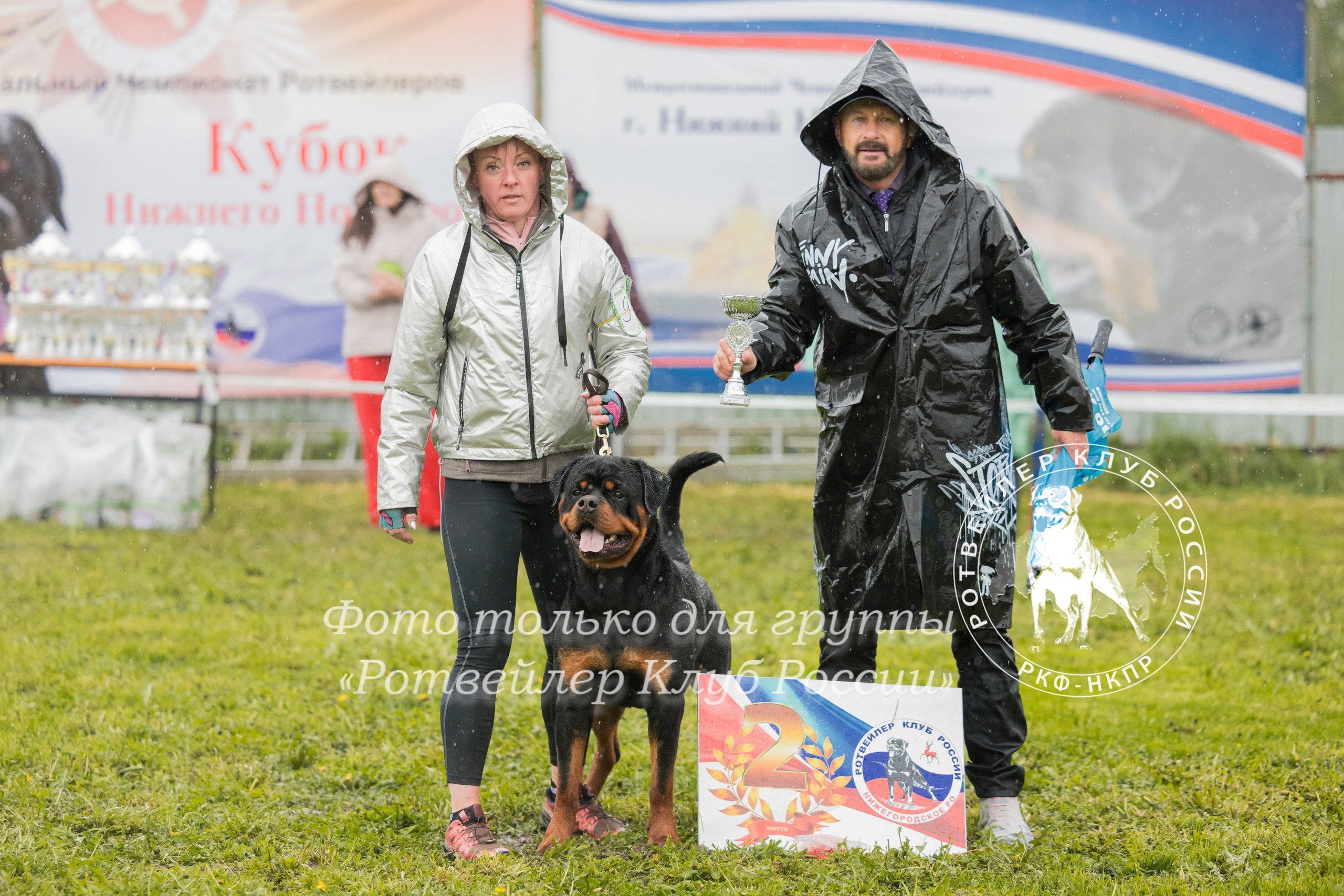 Нижний Новгород 2хмоно ротвейлеров 10-11.05.2025. Фотограф-анималист Юлия Германика