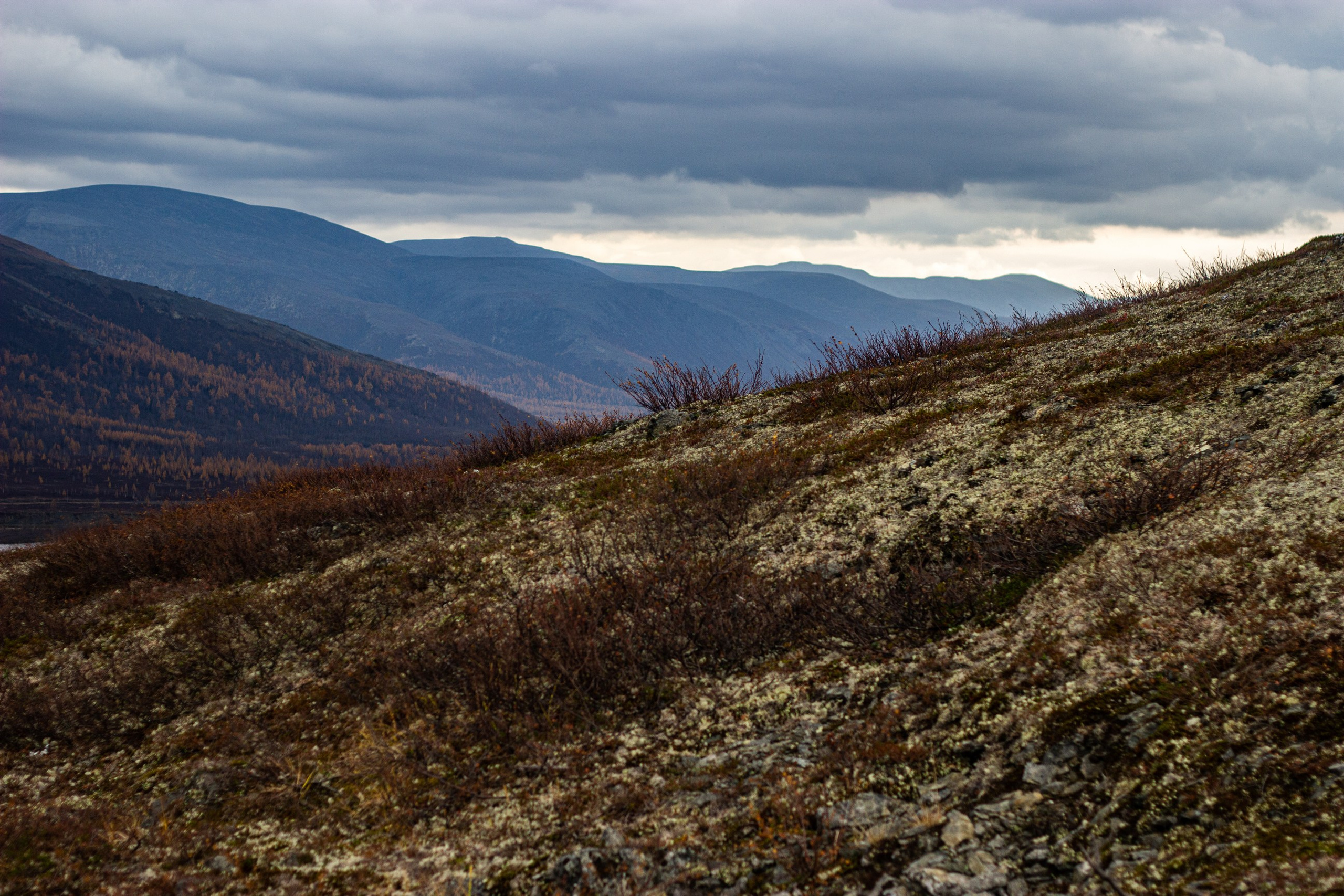 Станция Собь. Фотограф Екатерина Зорина