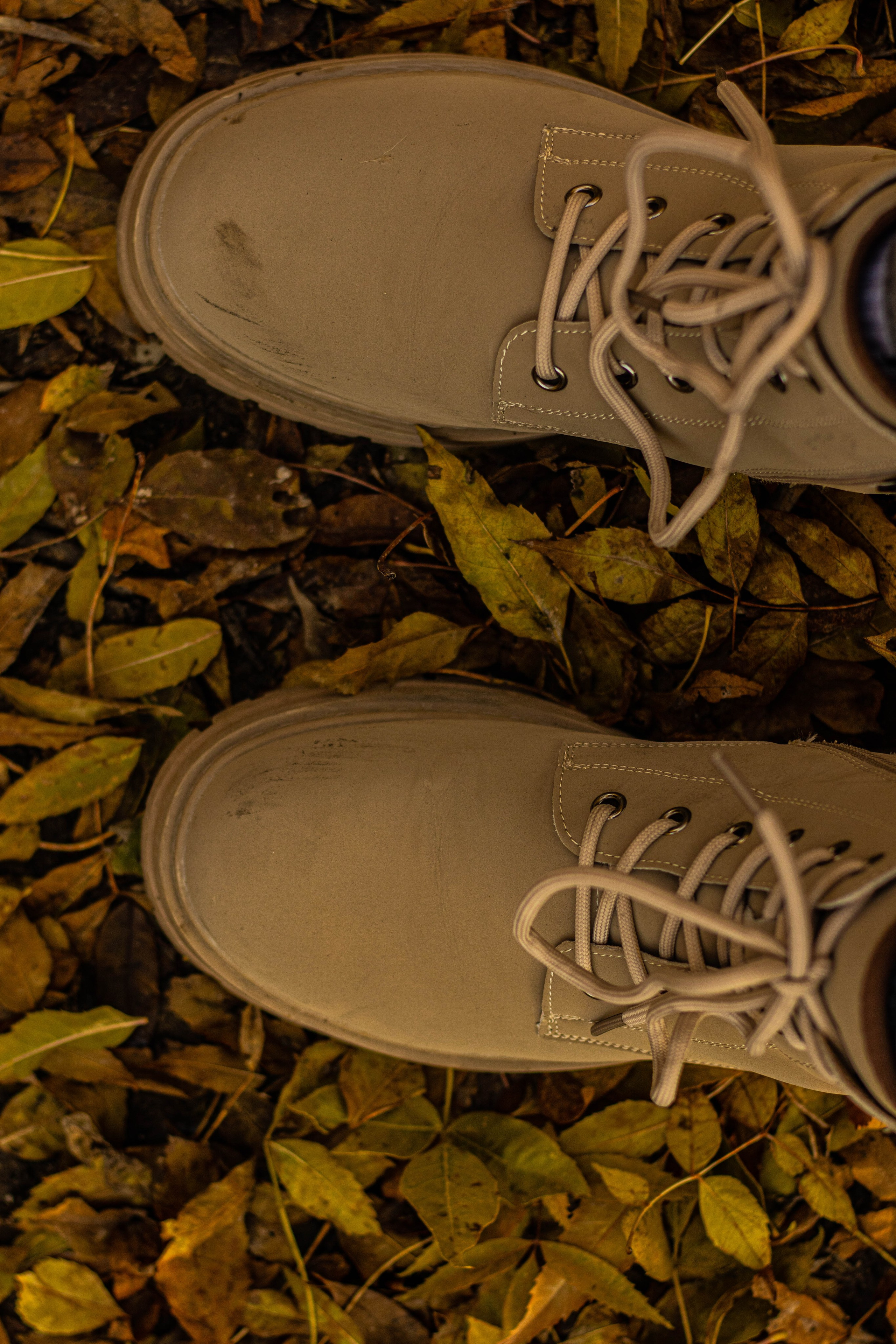 «Тепло осени: уютные кадры с природой». Уличный фотограф Города N