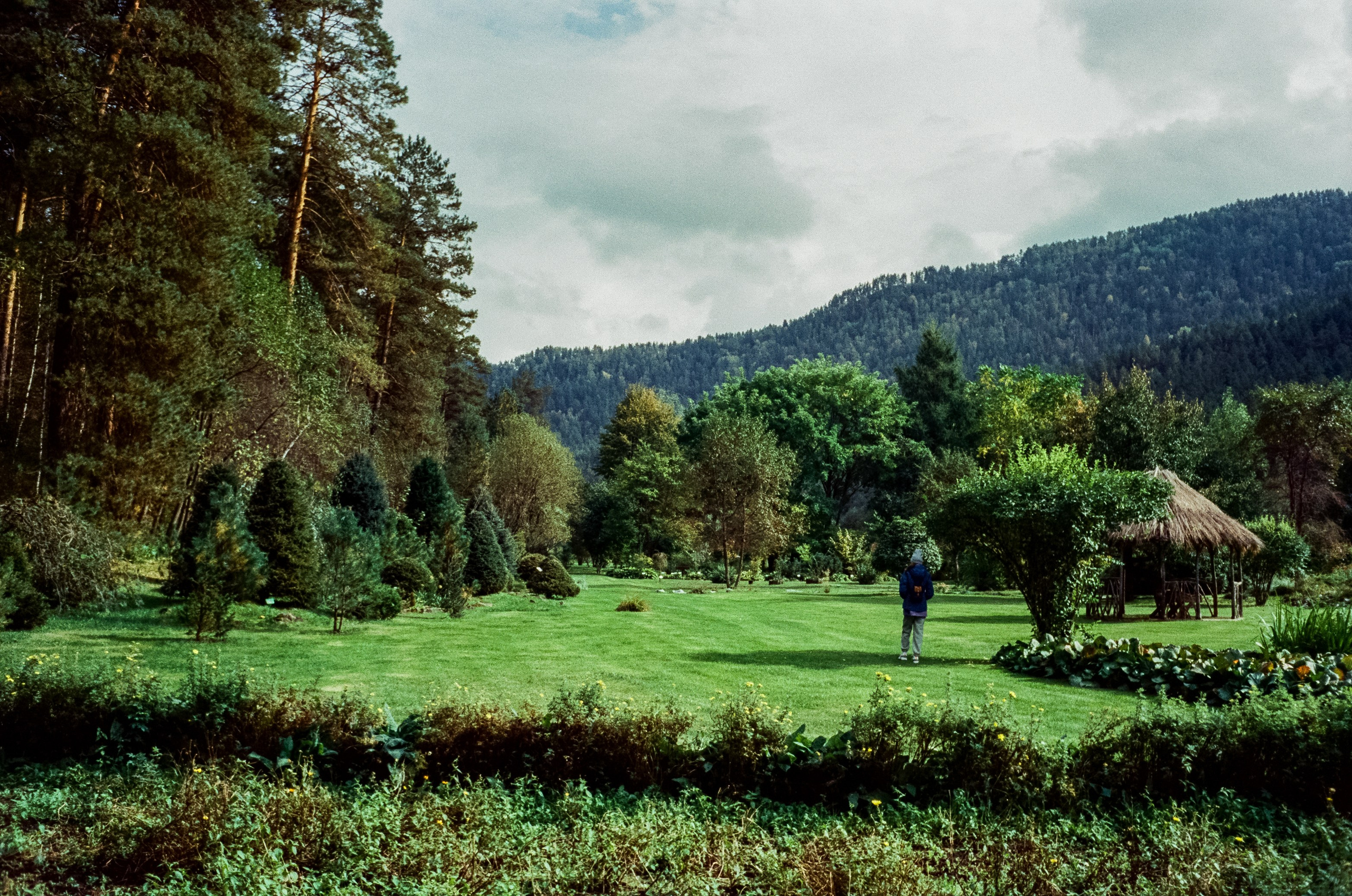 Горно-Алтайский ботанический сад / 13 сентября 2024 года / Minox 35 GT / SFL 250D