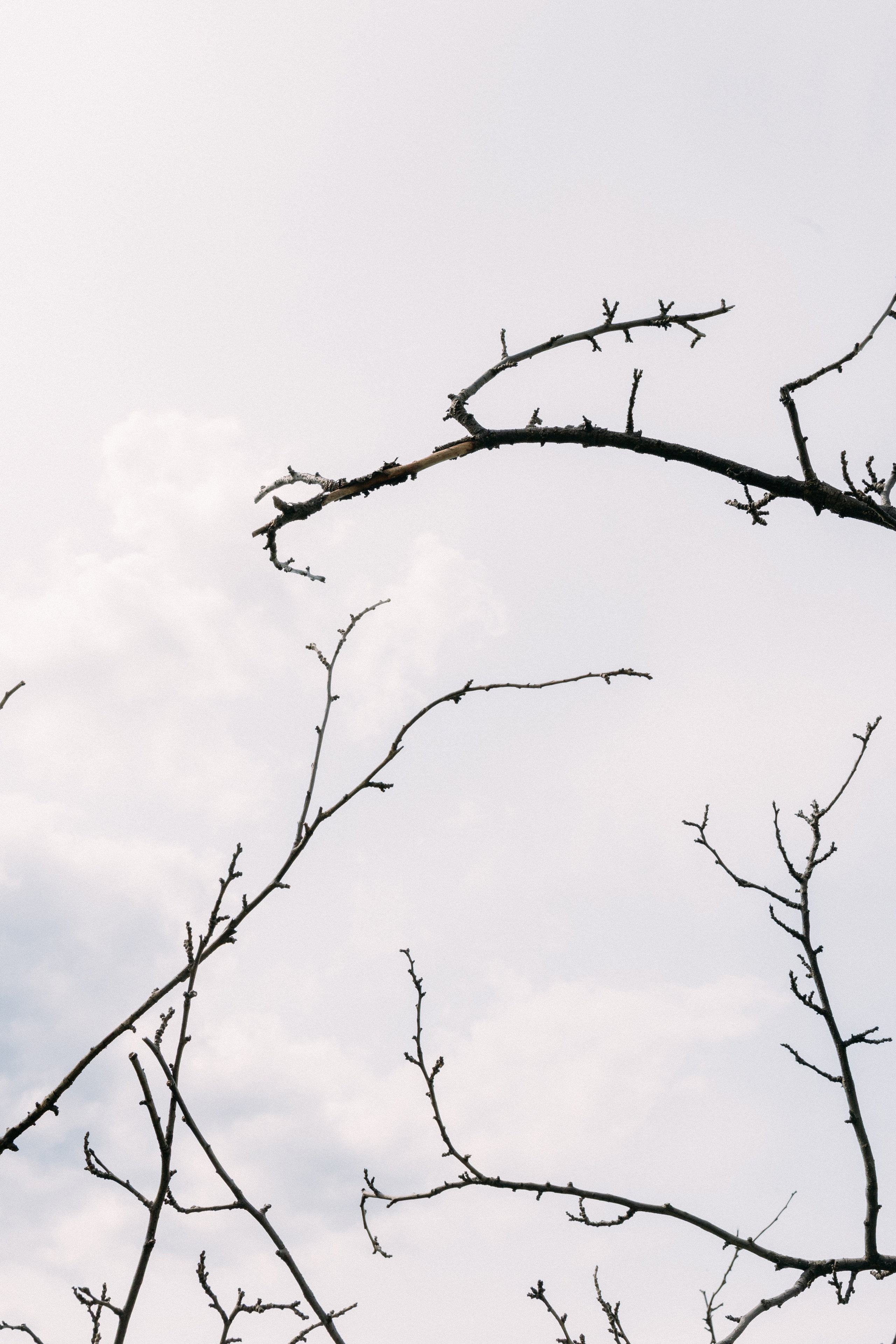 @avtors.agency. Свадебный и репортажный фотограф в Москве Владимир Сергеев | Naysaikolo