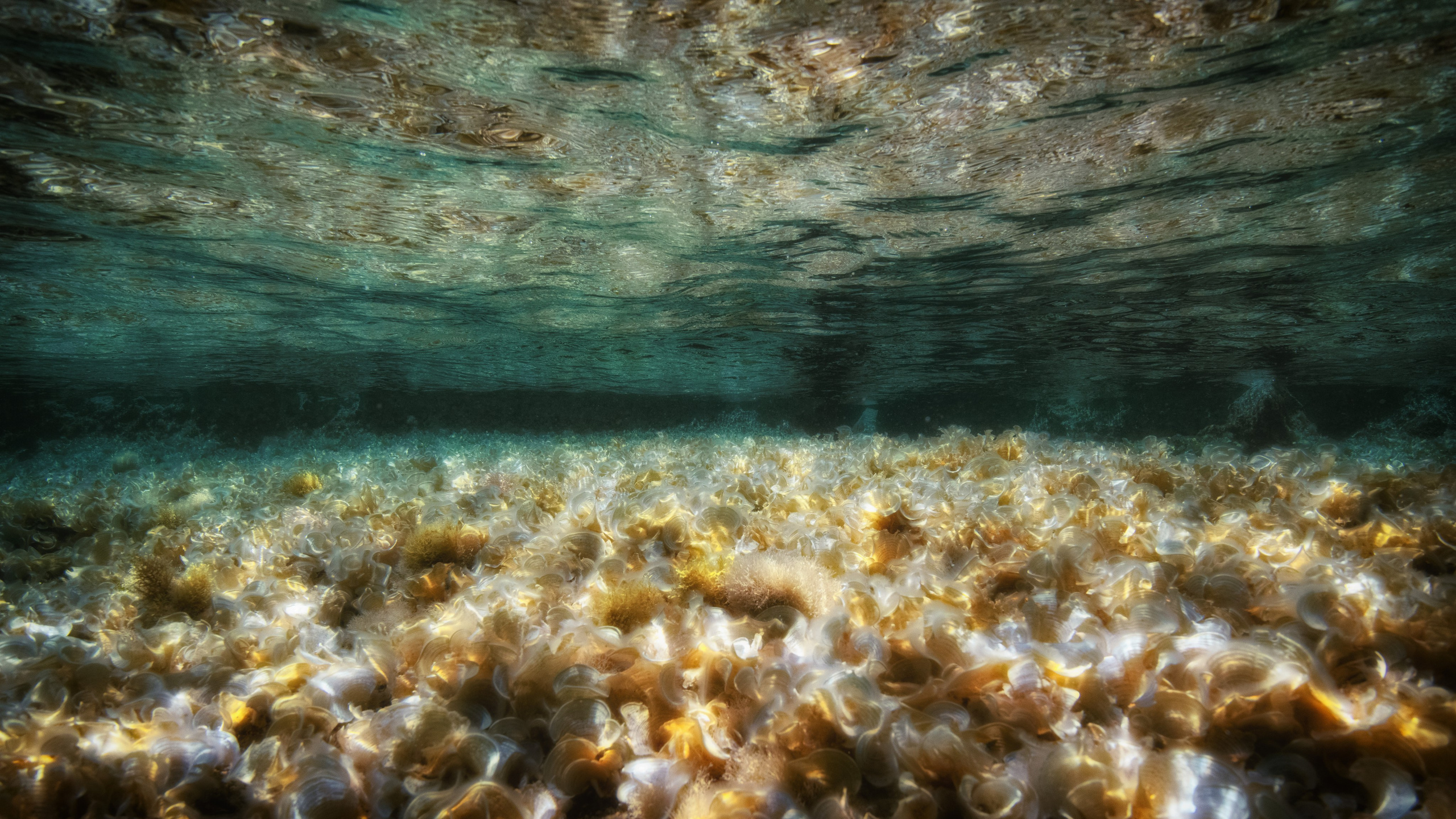 Турция яхтинг. Профессиональная фотосъемка. Ростов-на-Дону