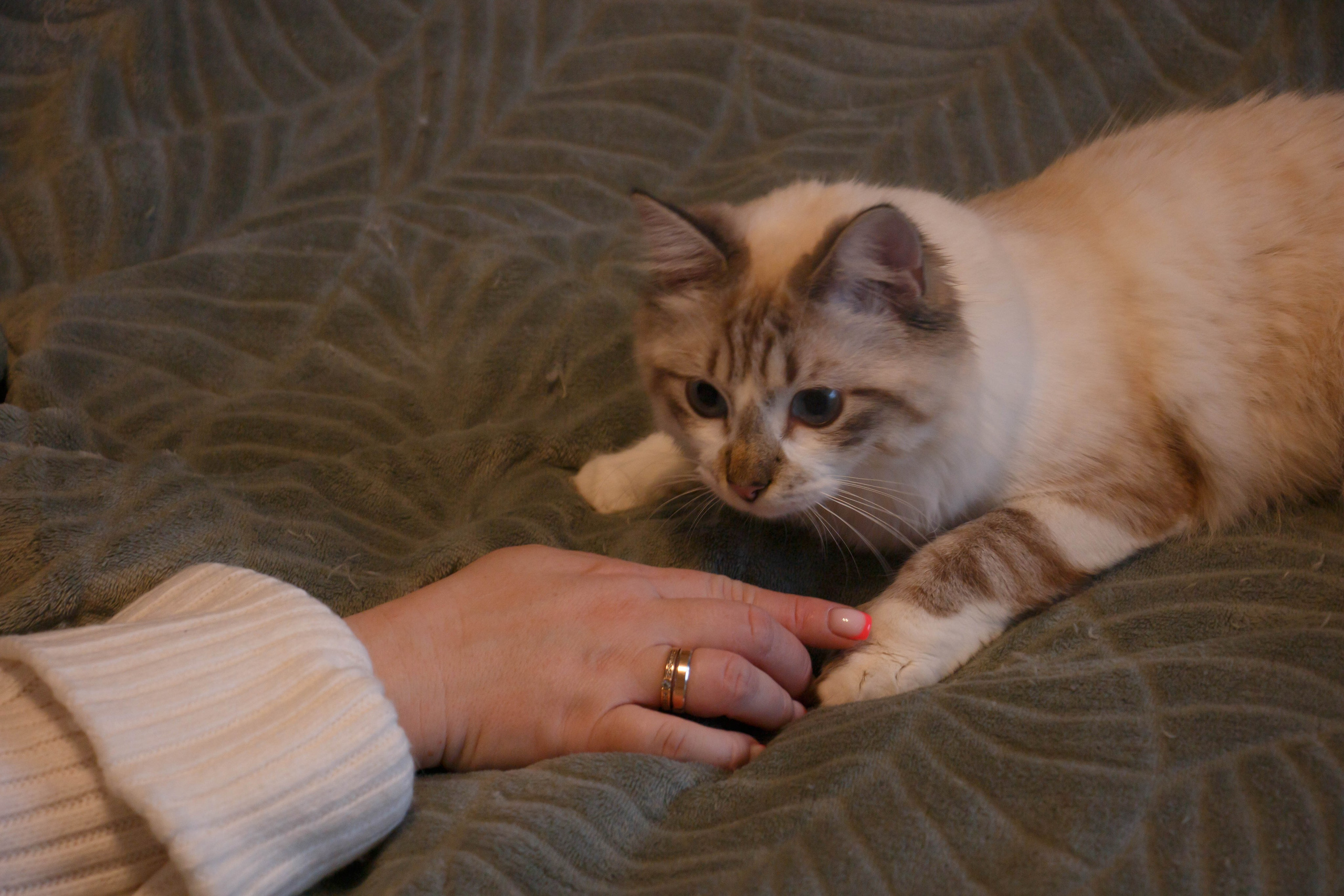 Kristina & Miya. Бережно сохраняю ваши чувства и истории на своих фотографиях