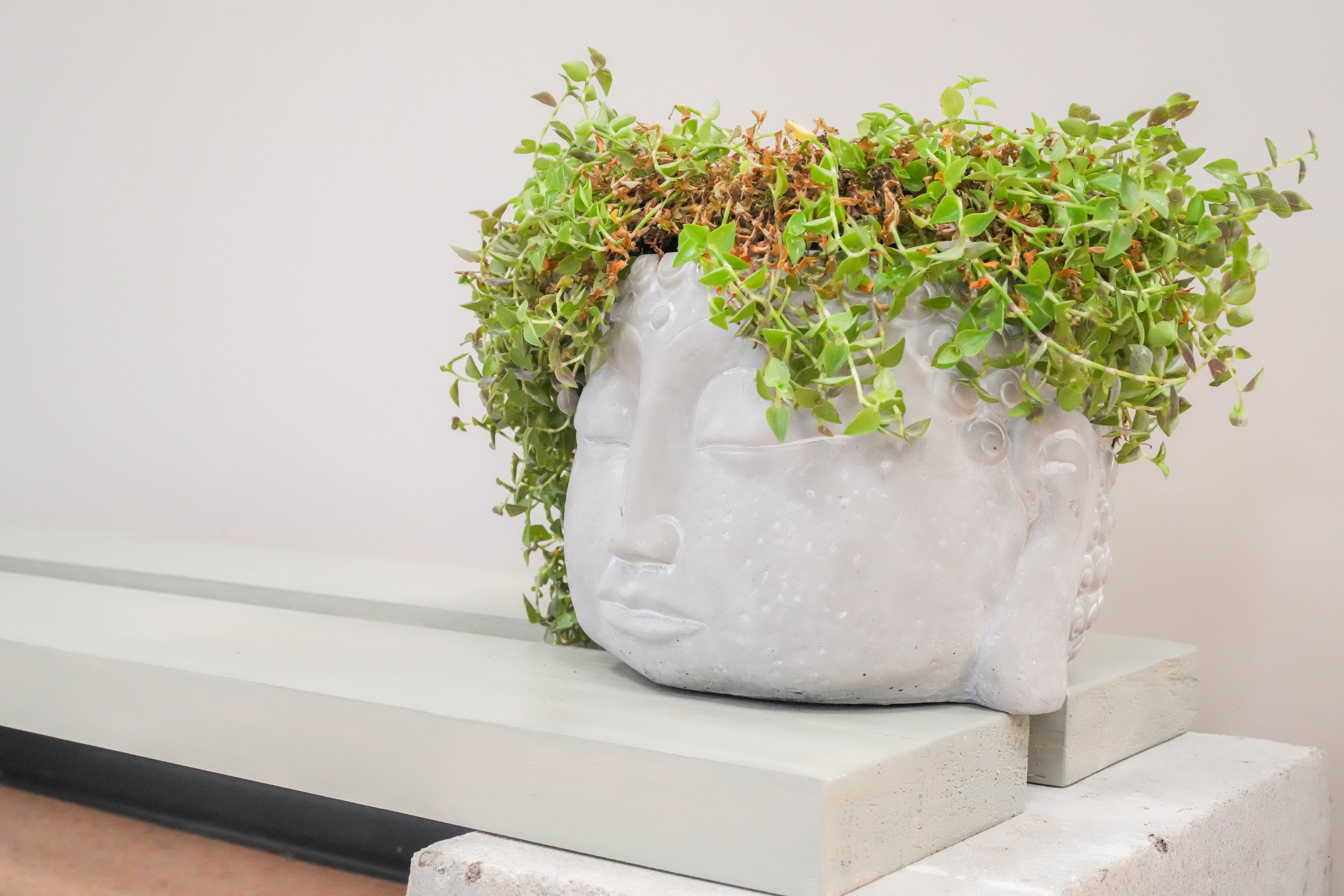 Интерьерные съёмки в Иваново и области. Спортивный и репортажный фотограф в Иваново Сергей Силкин